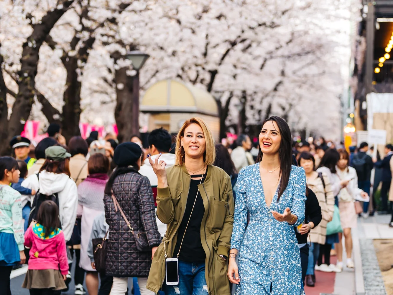 walking through tree lined cherry blossoms