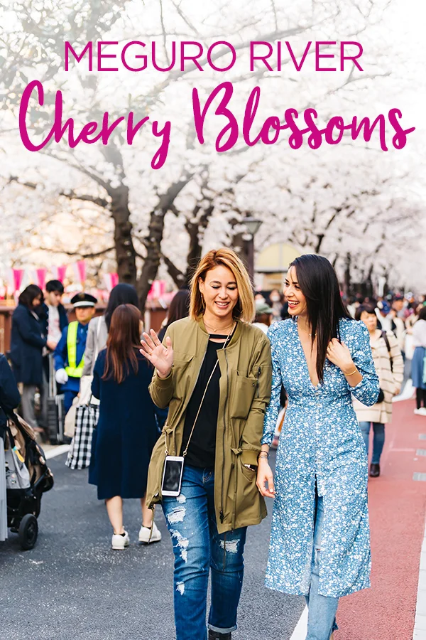 Meguro River #cherryblossoms #sakura #Japan #Tokyo