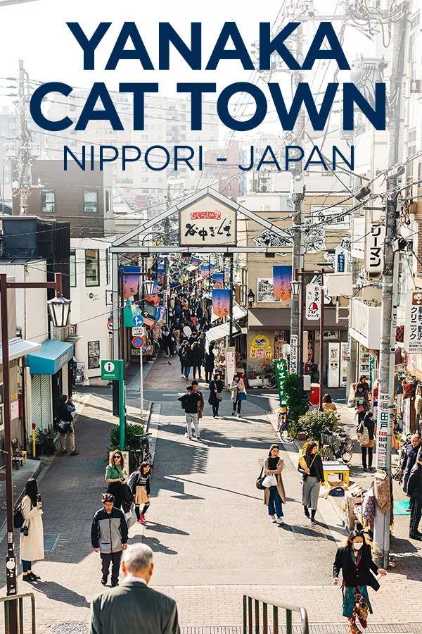 Yanaka Cat Town #Japan #Tokyo #Nippori #CatTown