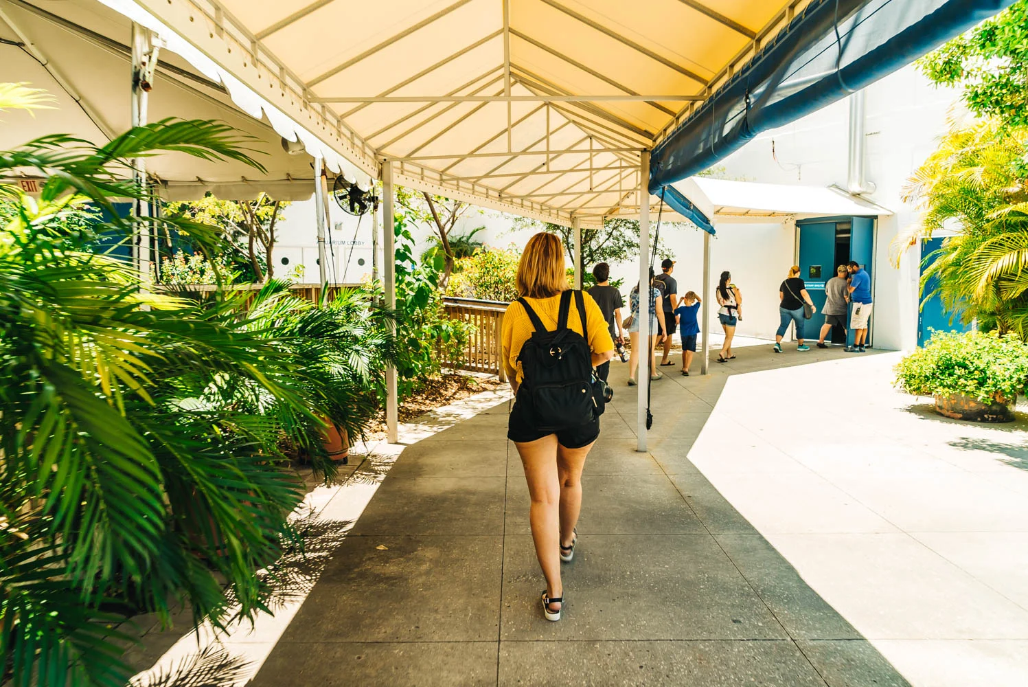 The+Florida+Aquarium++www.thetravelpockets.com #Florida #Aquarium #Tampa-10.jpg