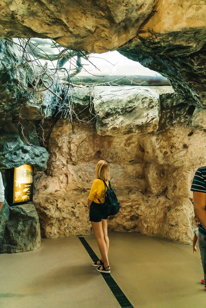 The+Florida+Aquarium++www.thetravelpockets.com #Florida #Aquarium #Tampa-21.jpg