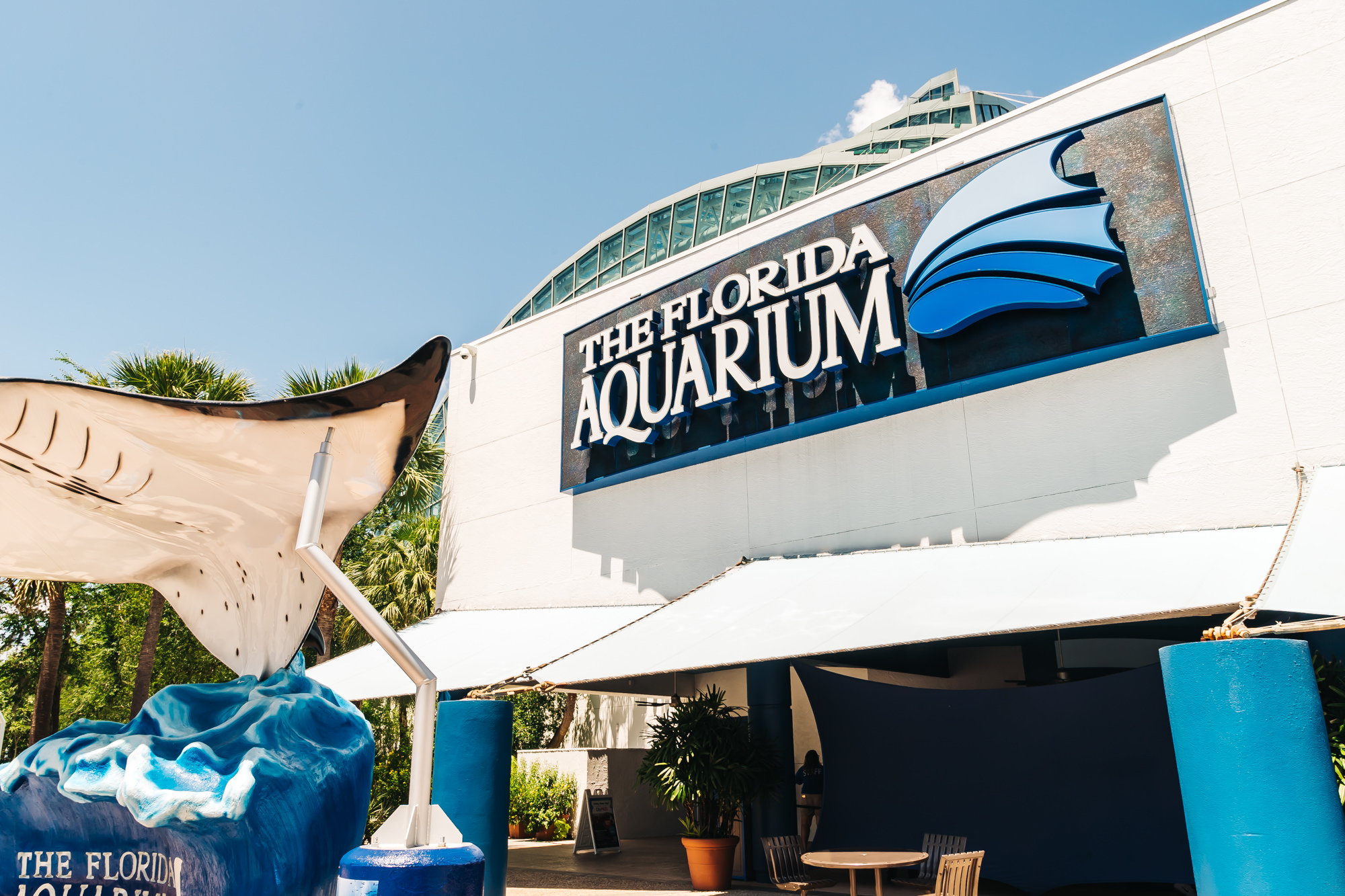 Meet the Cutest Penguins at The Florida Aquarium in Tampa - Travel