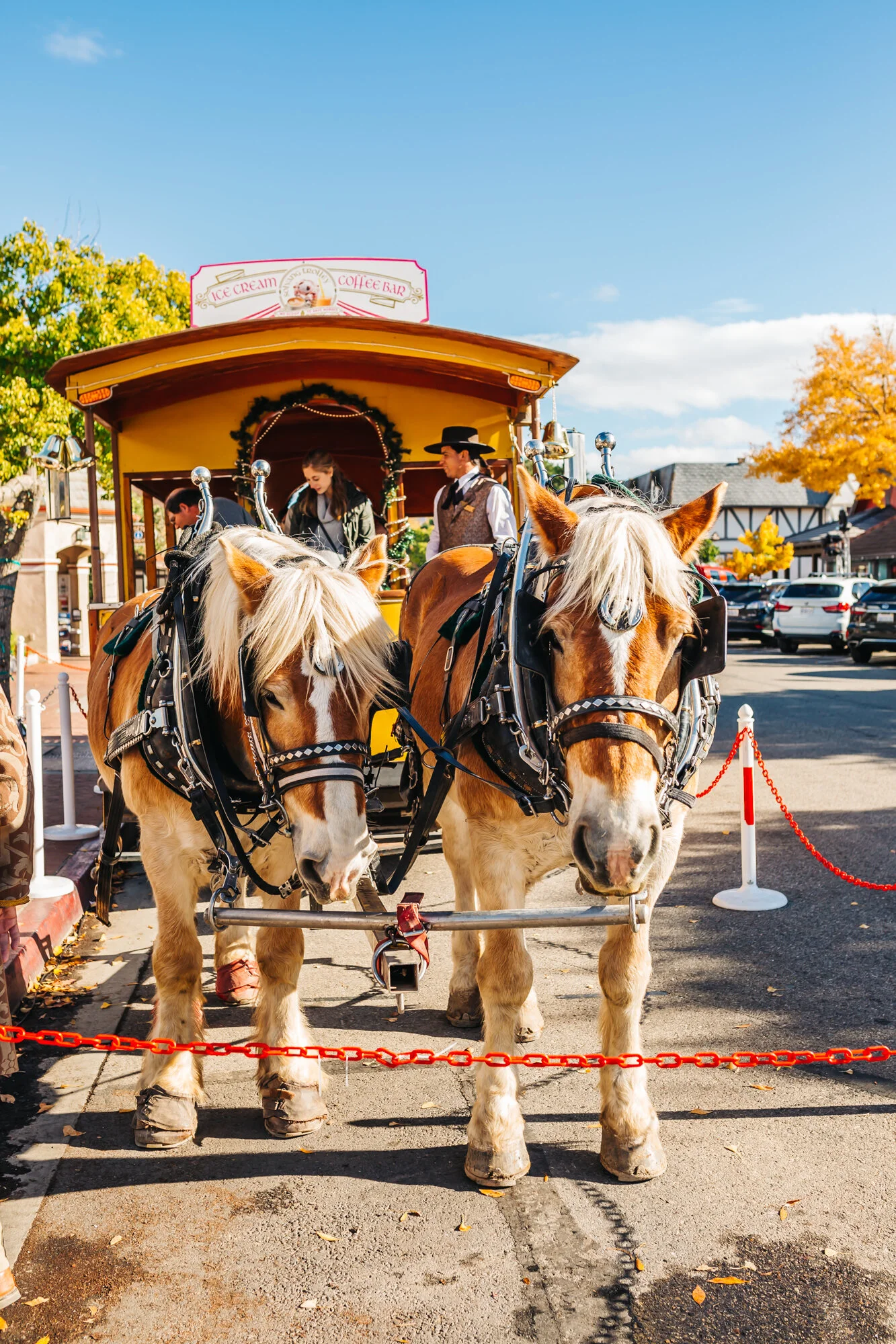 Solvang Trolley Rids Top 6 Things To Do in Solvang After Thanksgiving Day - Travel Pockets