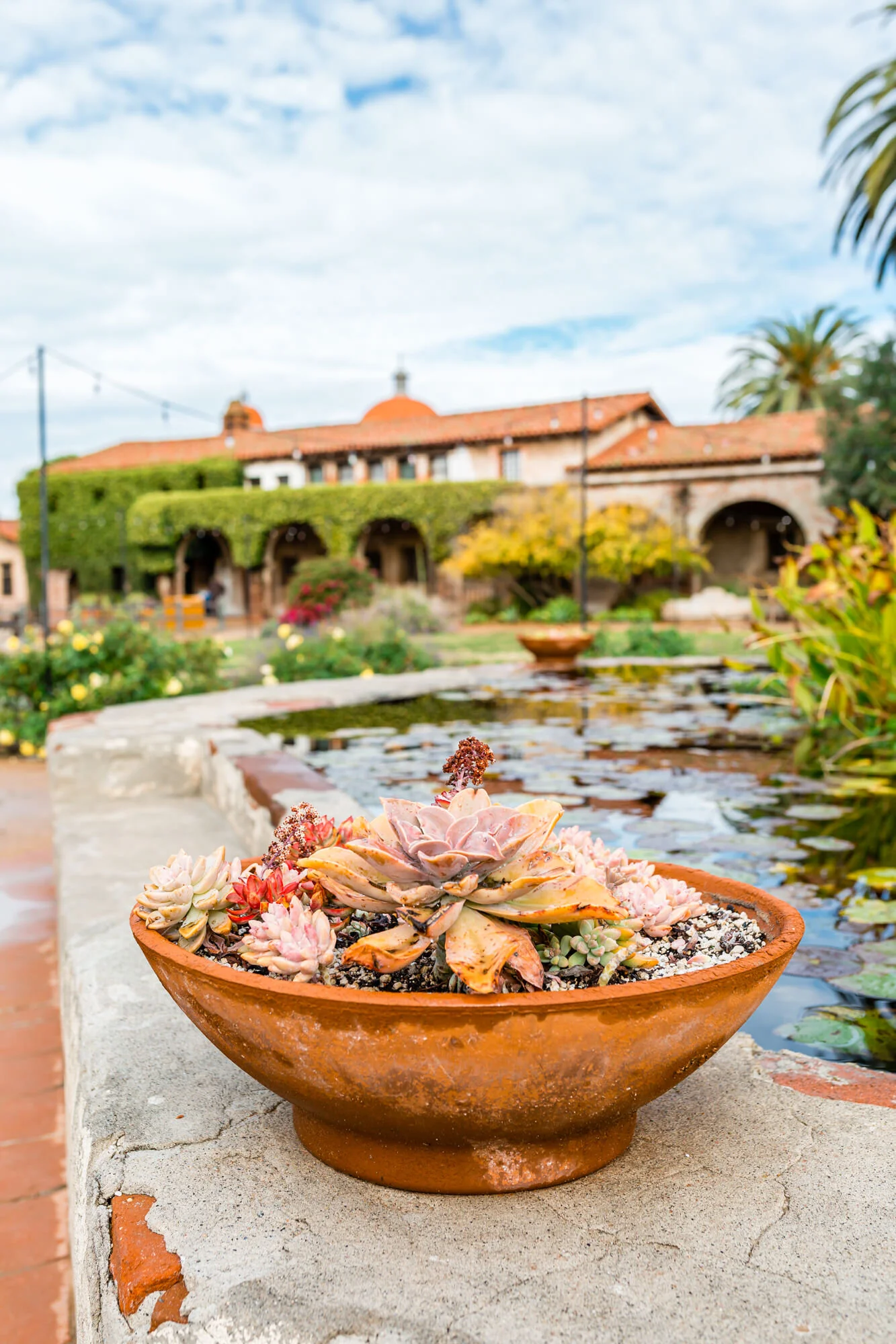 Lots of colorful cacti in this garden