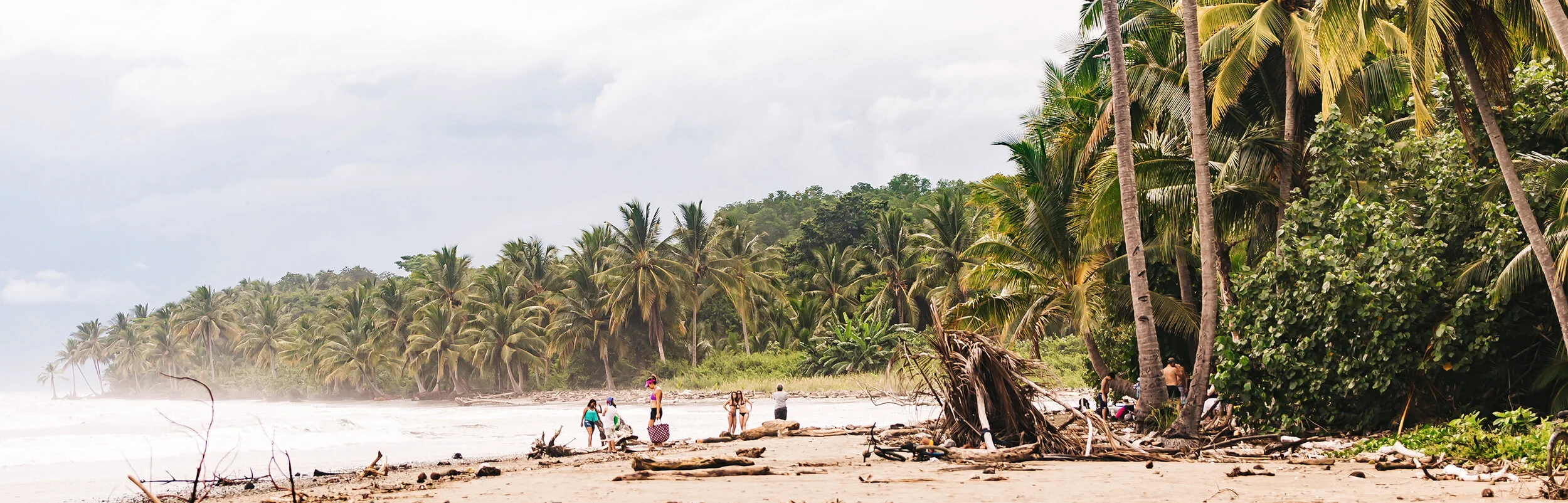 banner Costa Rica 1.jpg