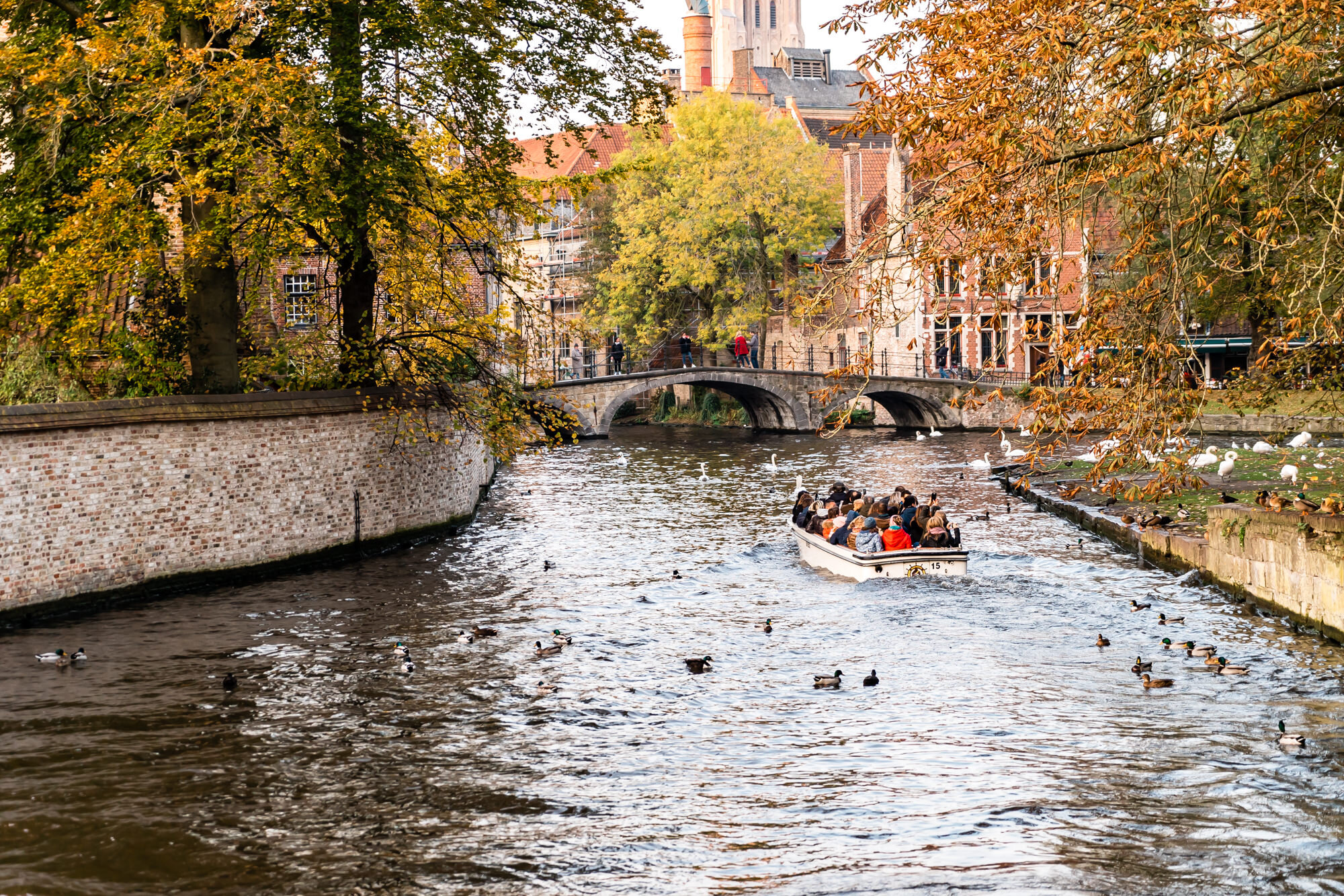 canal tours bruge