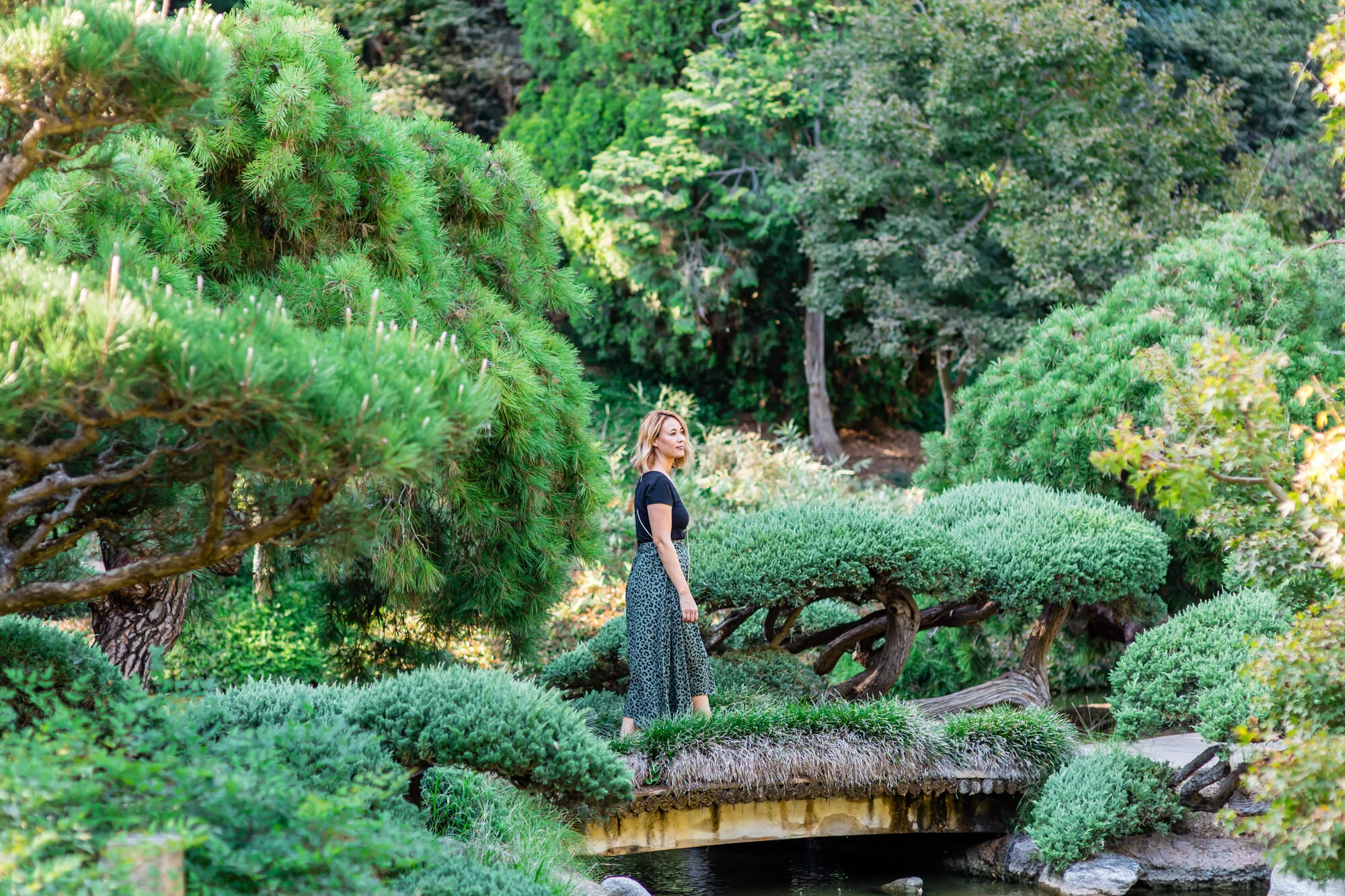 Exploring The Huntington Library Art Collections And Botanical Gardens In California Travel Pockets