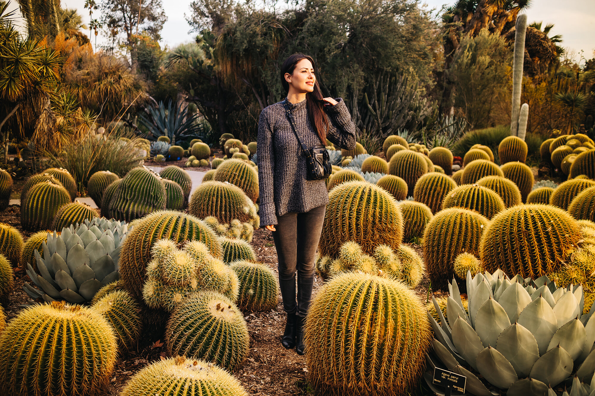 Exploring The Huntington Library, Art Collections, and Botanical Gardens in California