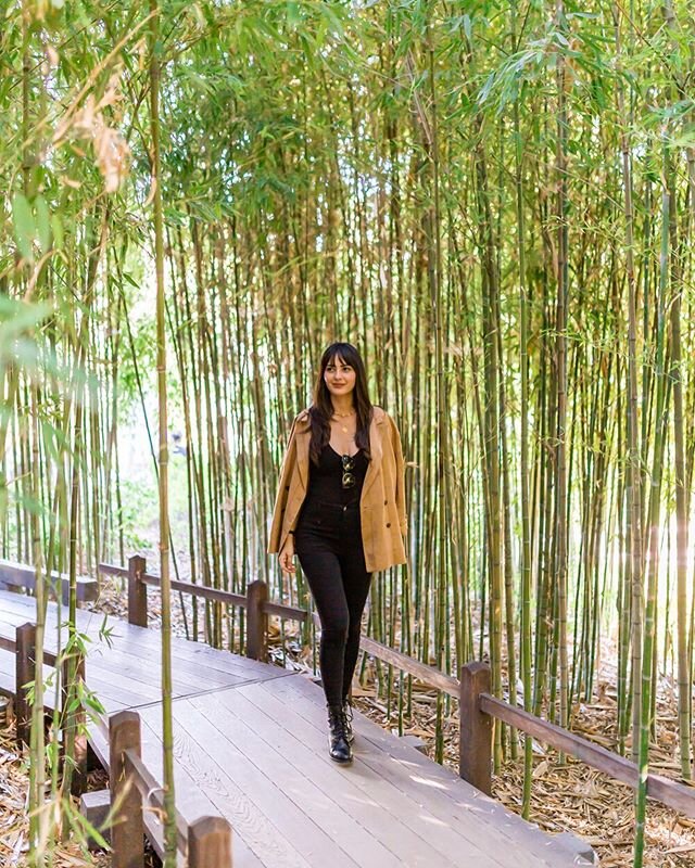 Look, a bamboo forest in Los Angeles! This bamboo forest is located inside @thehungtingtonlibrary and there are a total of 16 massive gardens here. ⁠⠀
⁠⠀
The Japanese Garden is the most popular garden on the premises and has been a favorite of The Hu