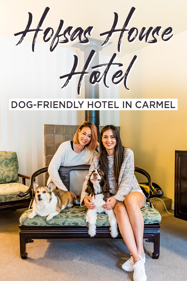 carmel valley hotels dog friendly