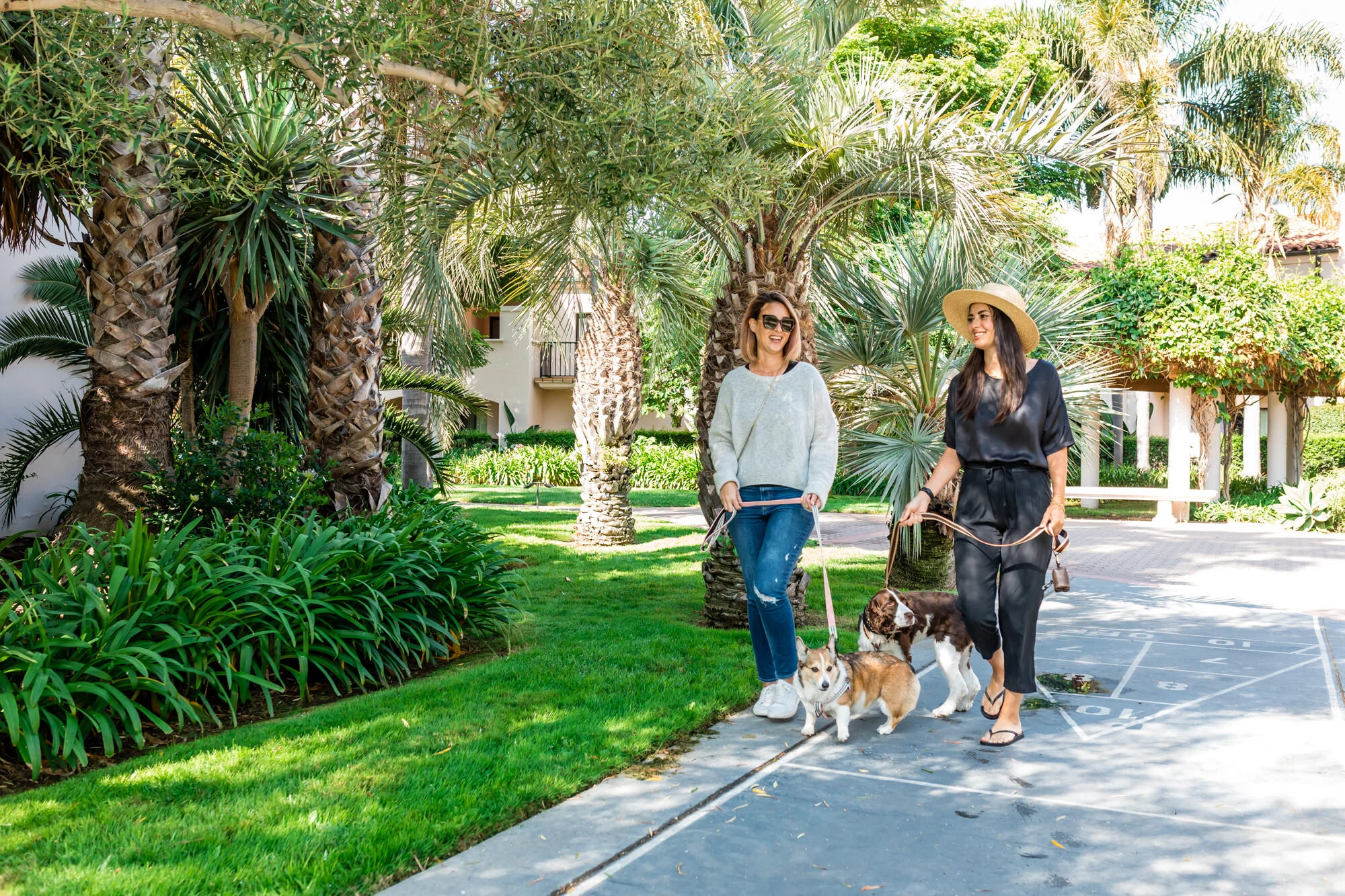 Pet-Friendly Hilton Santa Barbara Beachfront Resort with Stunning Views From Every Room