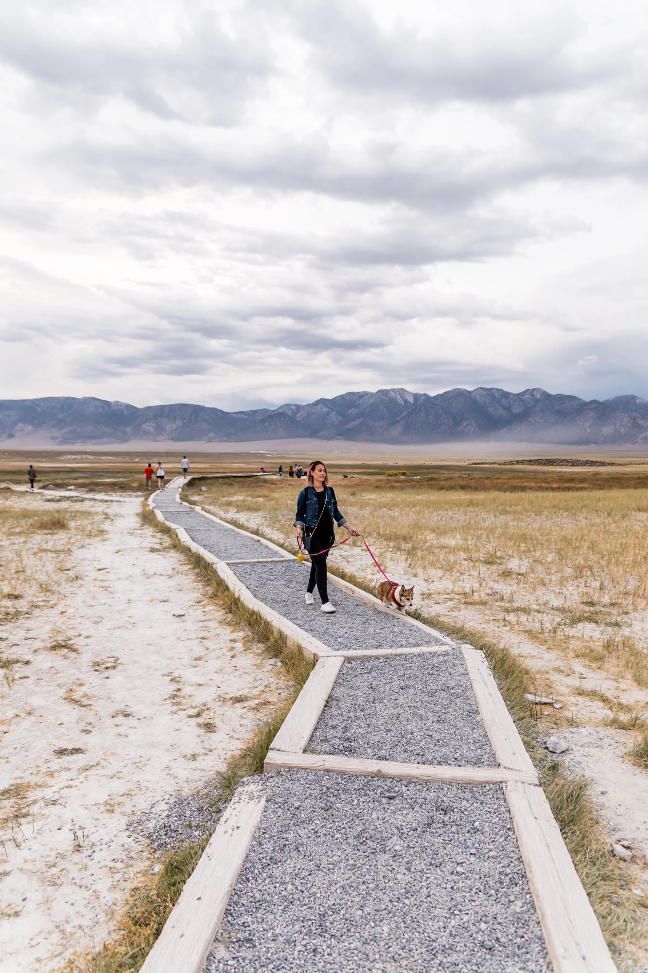 Gravel Pathway