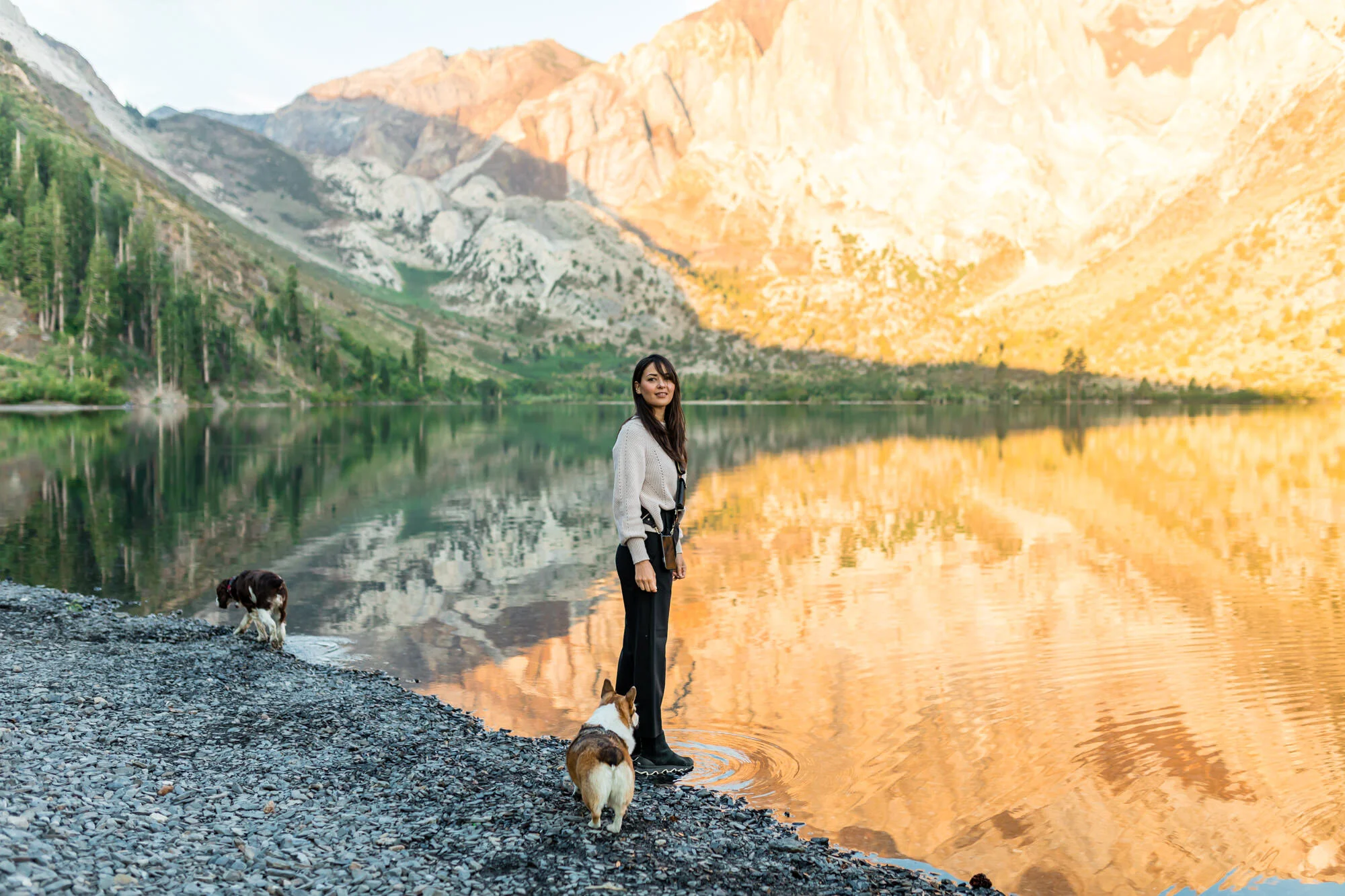 7 Pet-Friendly Things To Do in Mammoth Lakes