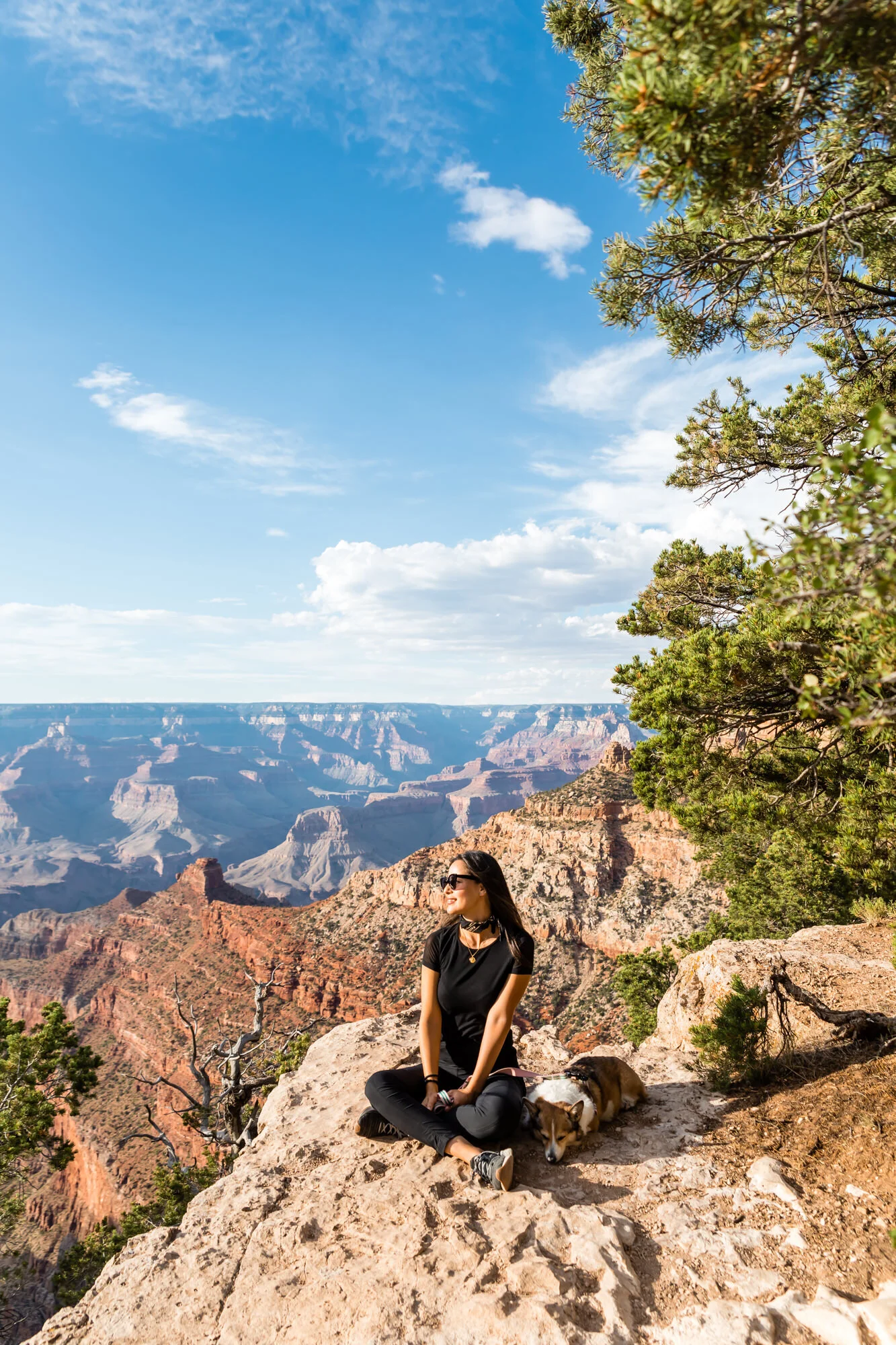 Our first stop on Desert View Drive