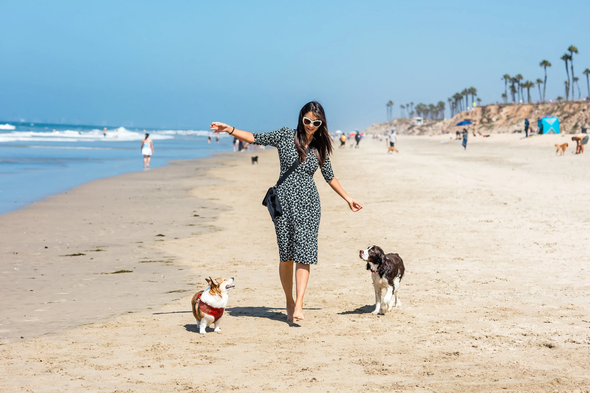 The 6 Best Off-Leash Dog Beaches in Southern California