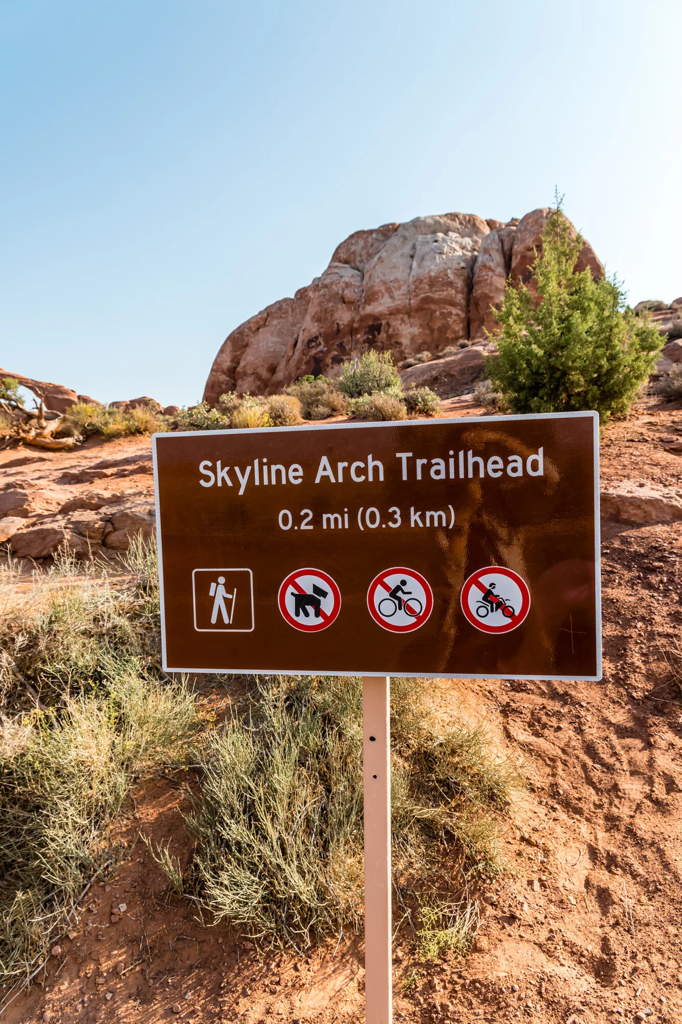 Easy hike to Skyline Arch