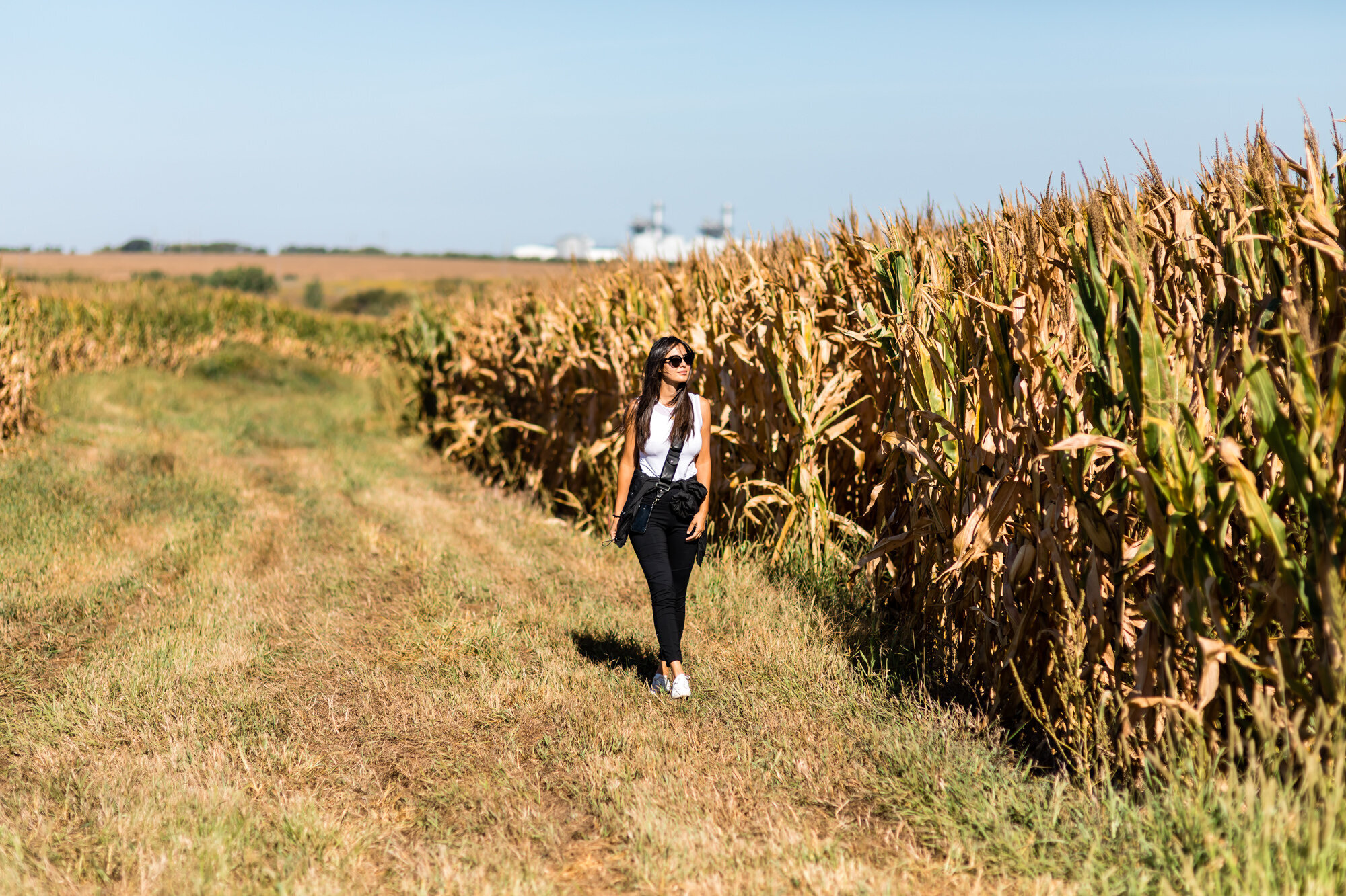 Discover America at Homestead National Historical Park in Nebraska