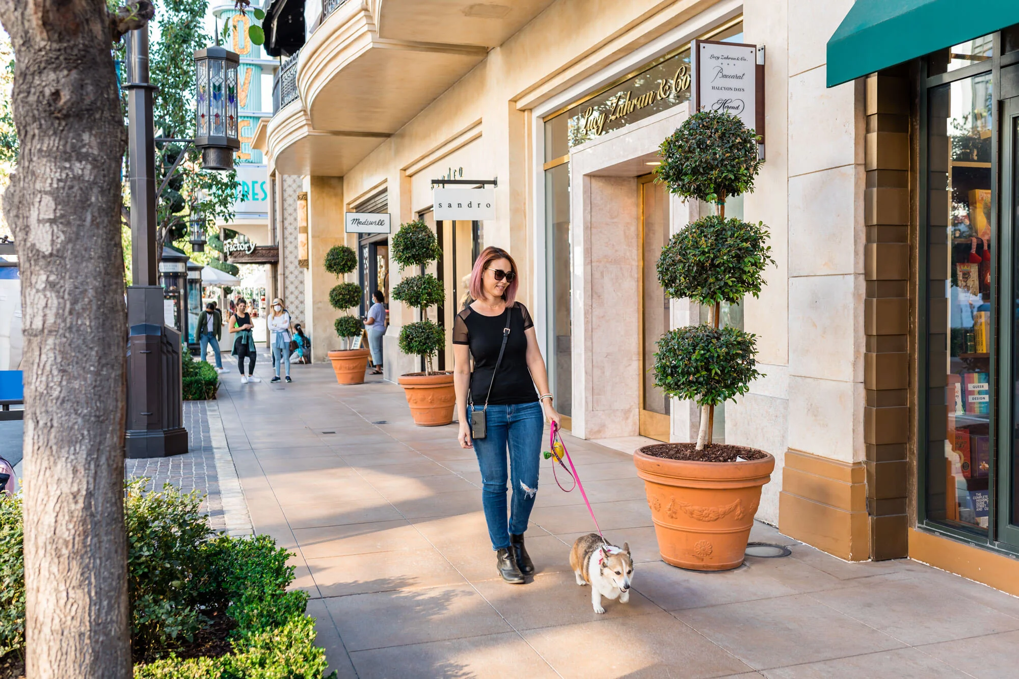 Shopping with a corgi dog