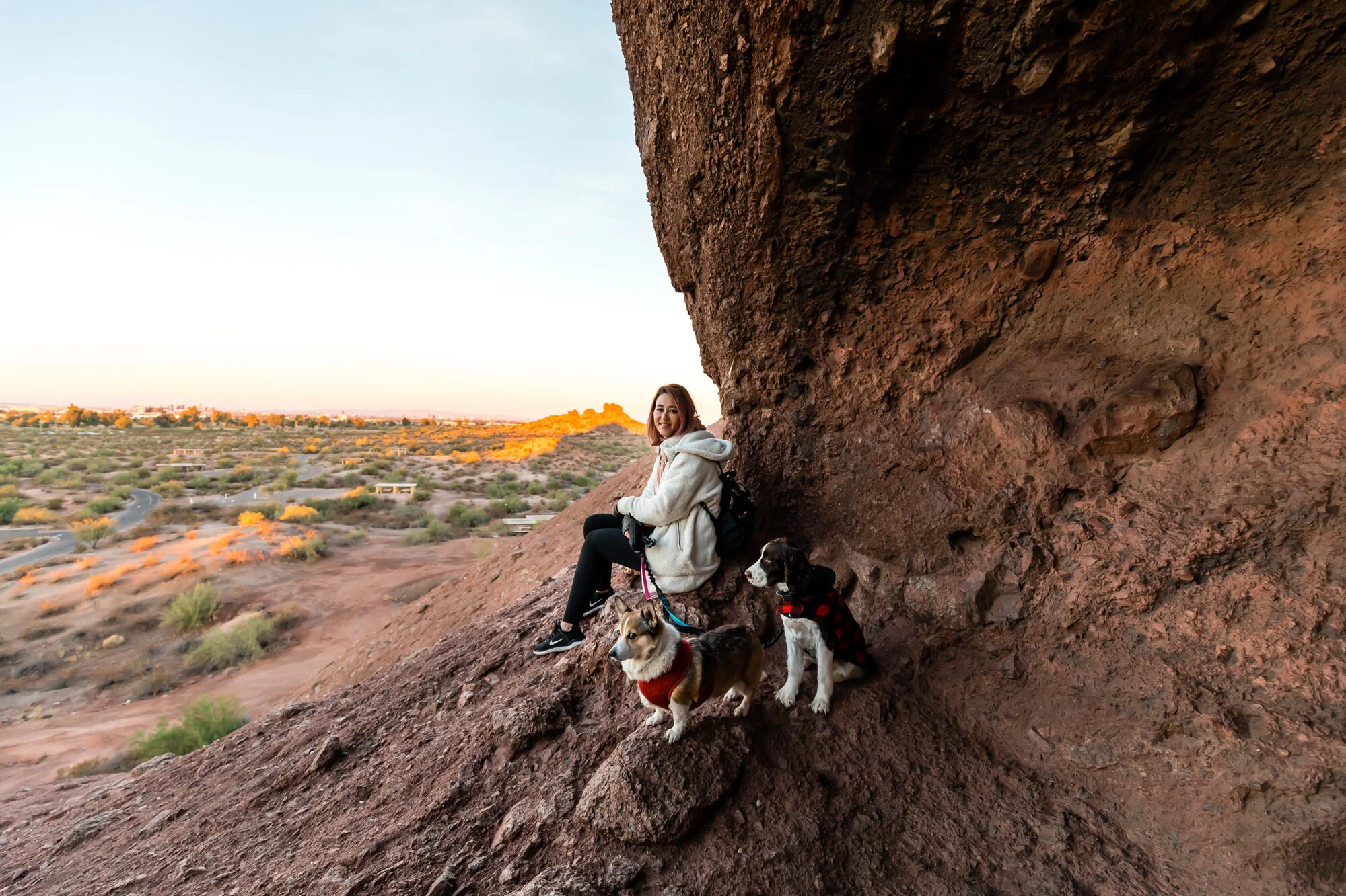 7 Dog-Friendly Things To Do in the Greater Phoenix Area