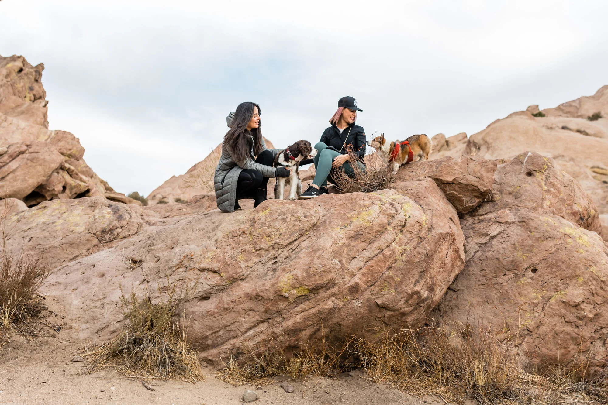 Pet-Friendly Vasquez Rocks Natural Area Park in LA County