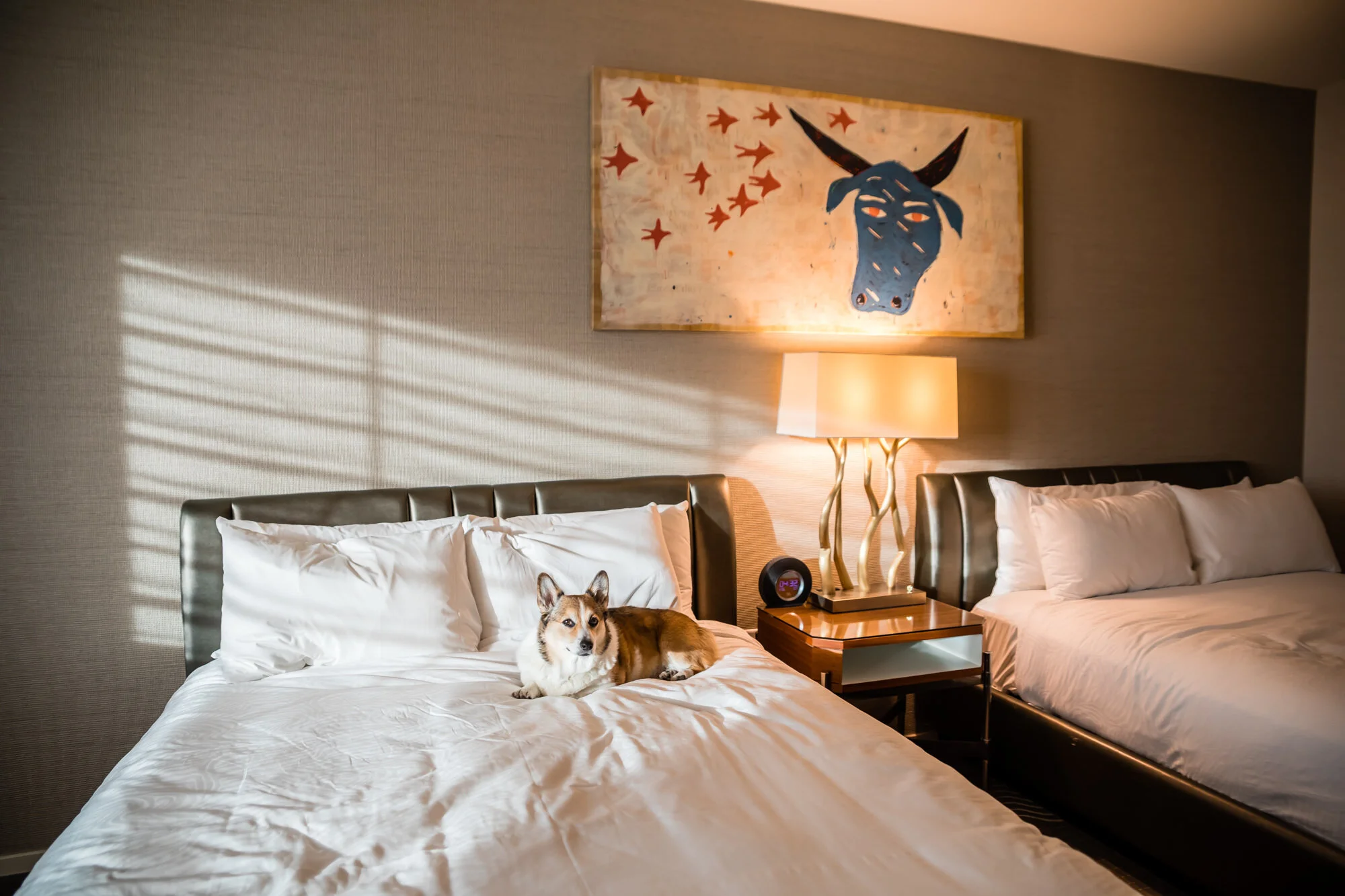 Where To Stay in Phoenix With Your Dog: Kimpton Hotel Palomar Phoenix