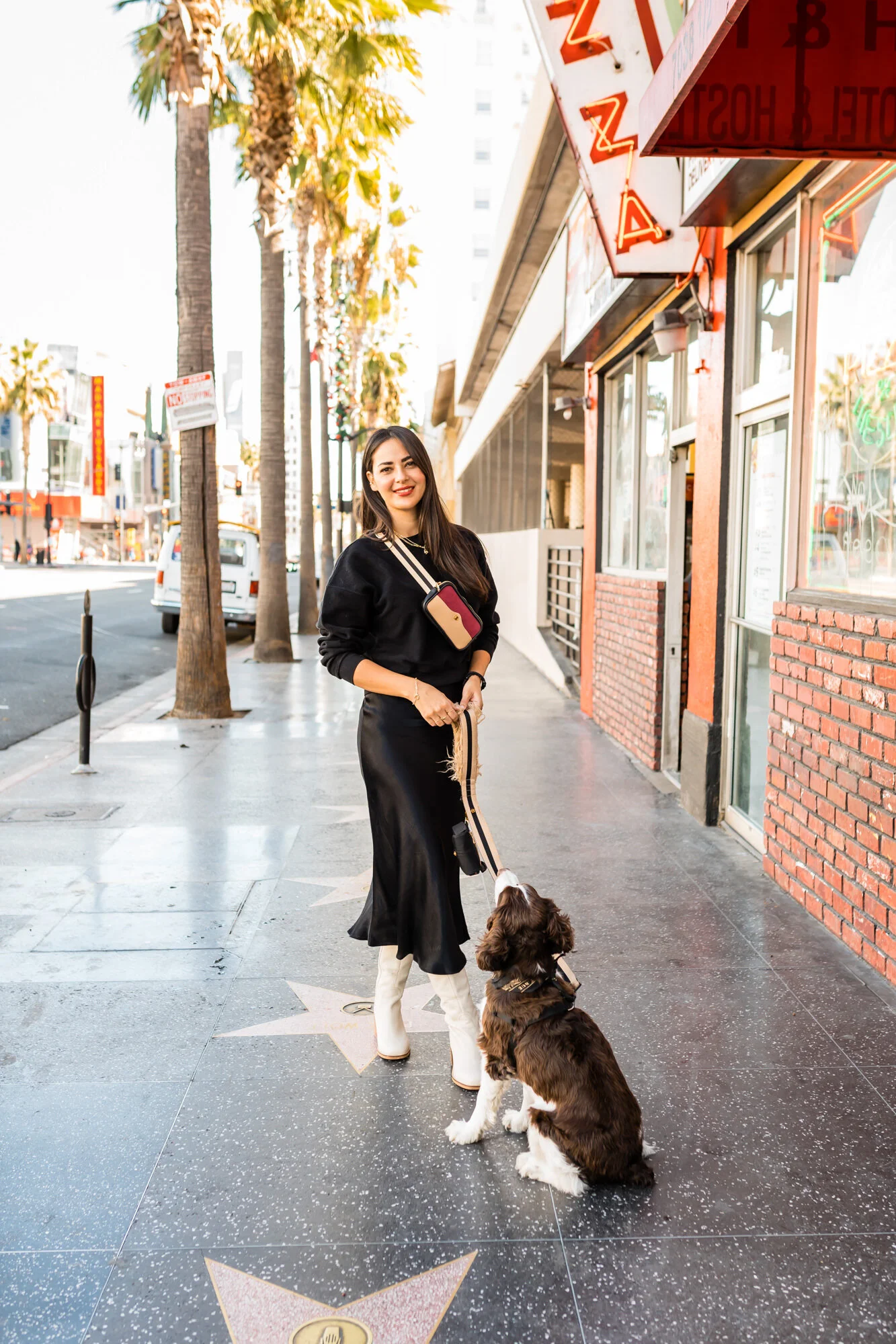 Candy and Zooey all fancy with their     City Leash and Belt Bag