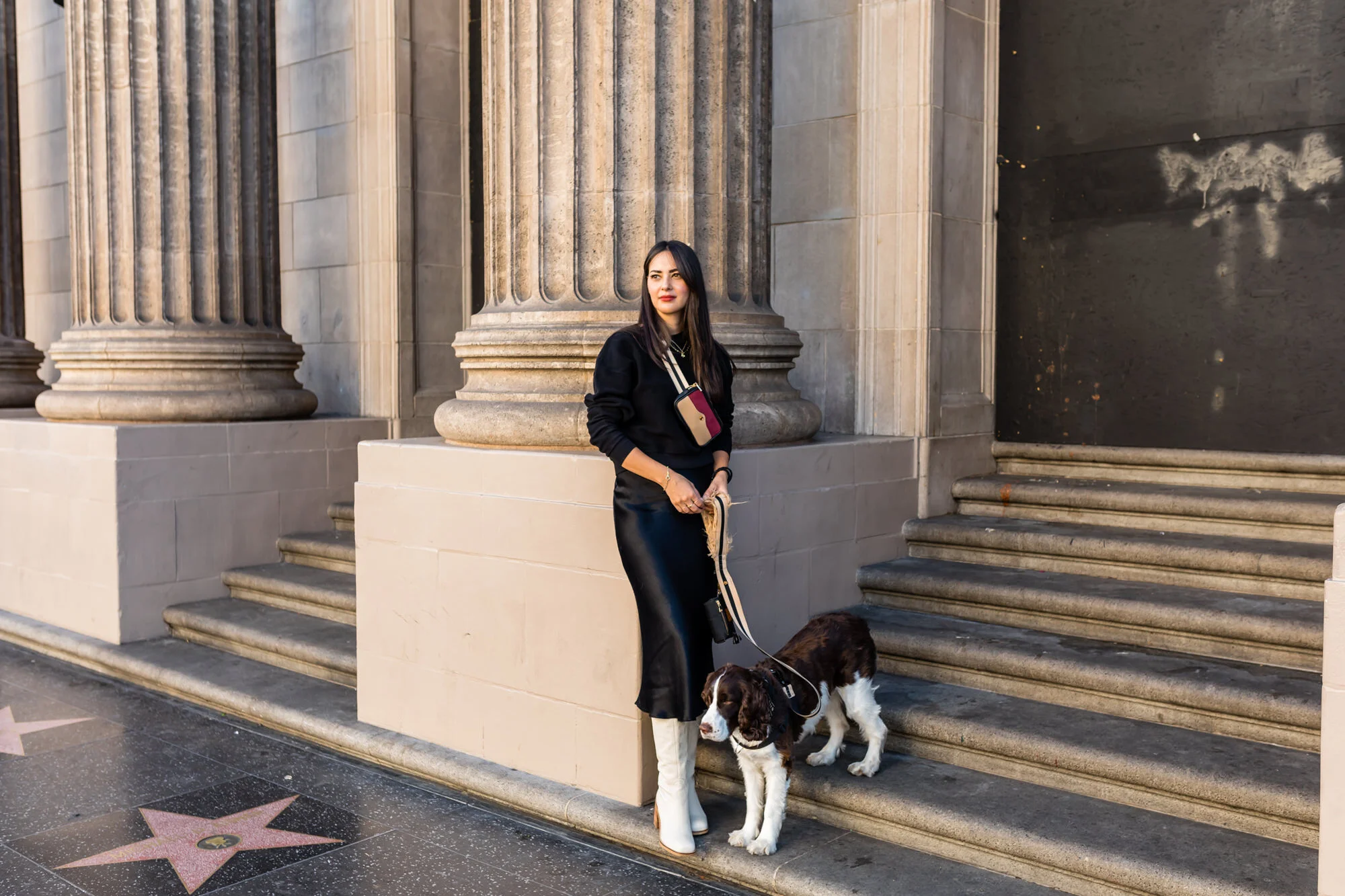 6 Things To Do in Hollywood with Your Dog