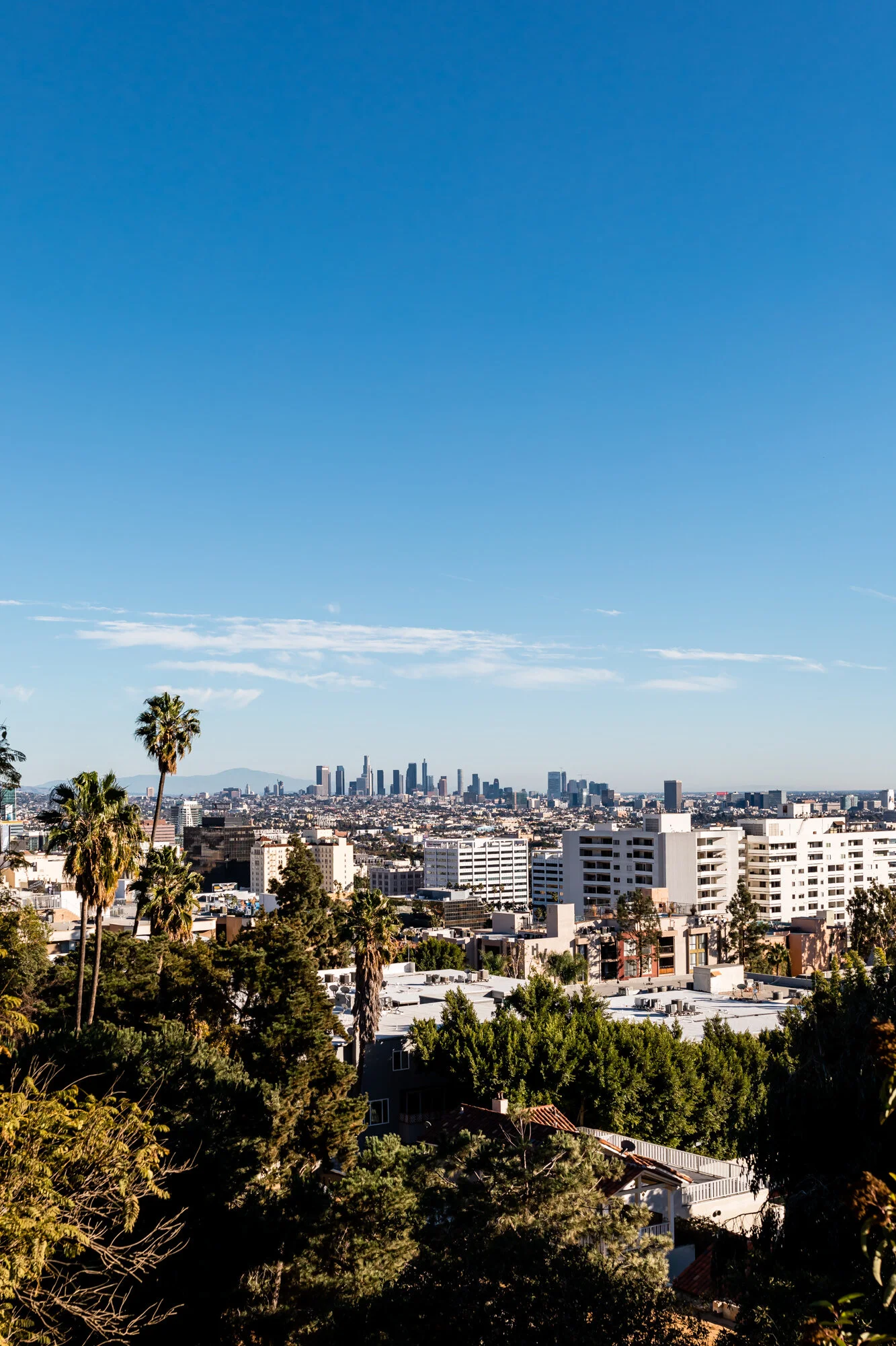 View of Los Angeles from our hike