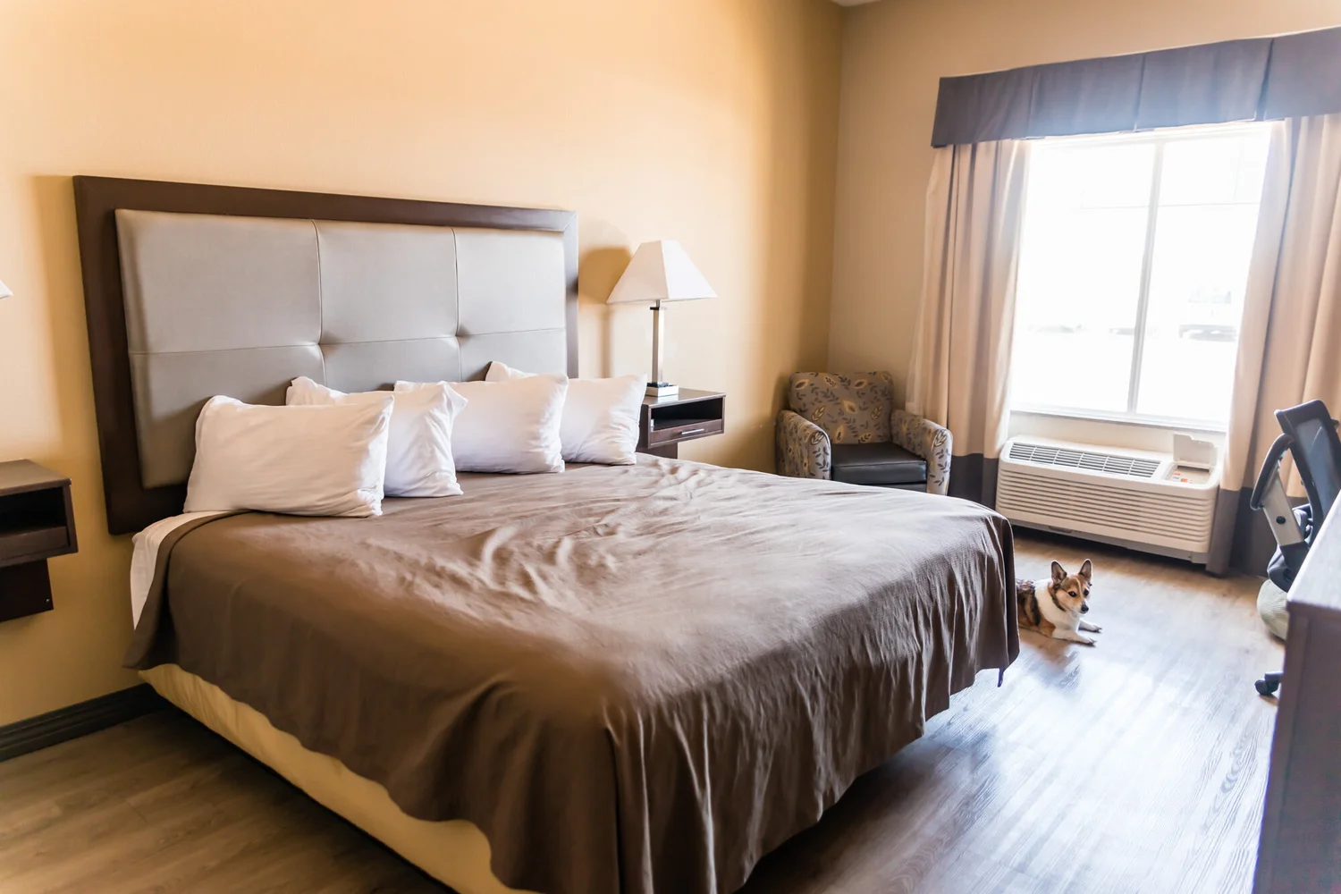 The Top 10 Best Pet-Friendly Hotels Along I-10 For Every Budget