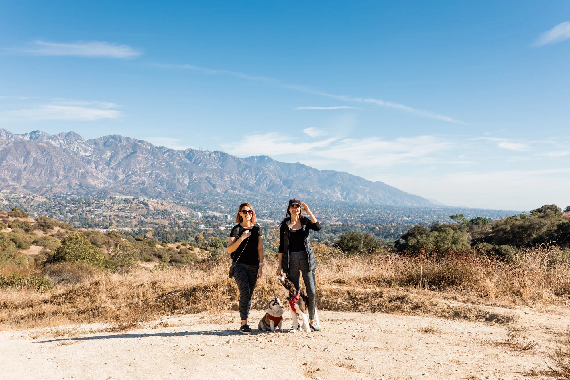 12 Fun and Free Things To Do in Los Angeles with Your Dog