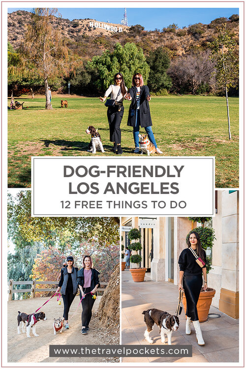 12 Fun and Free Things To Do in Los Angeles with Your Dog - Travel Pockets