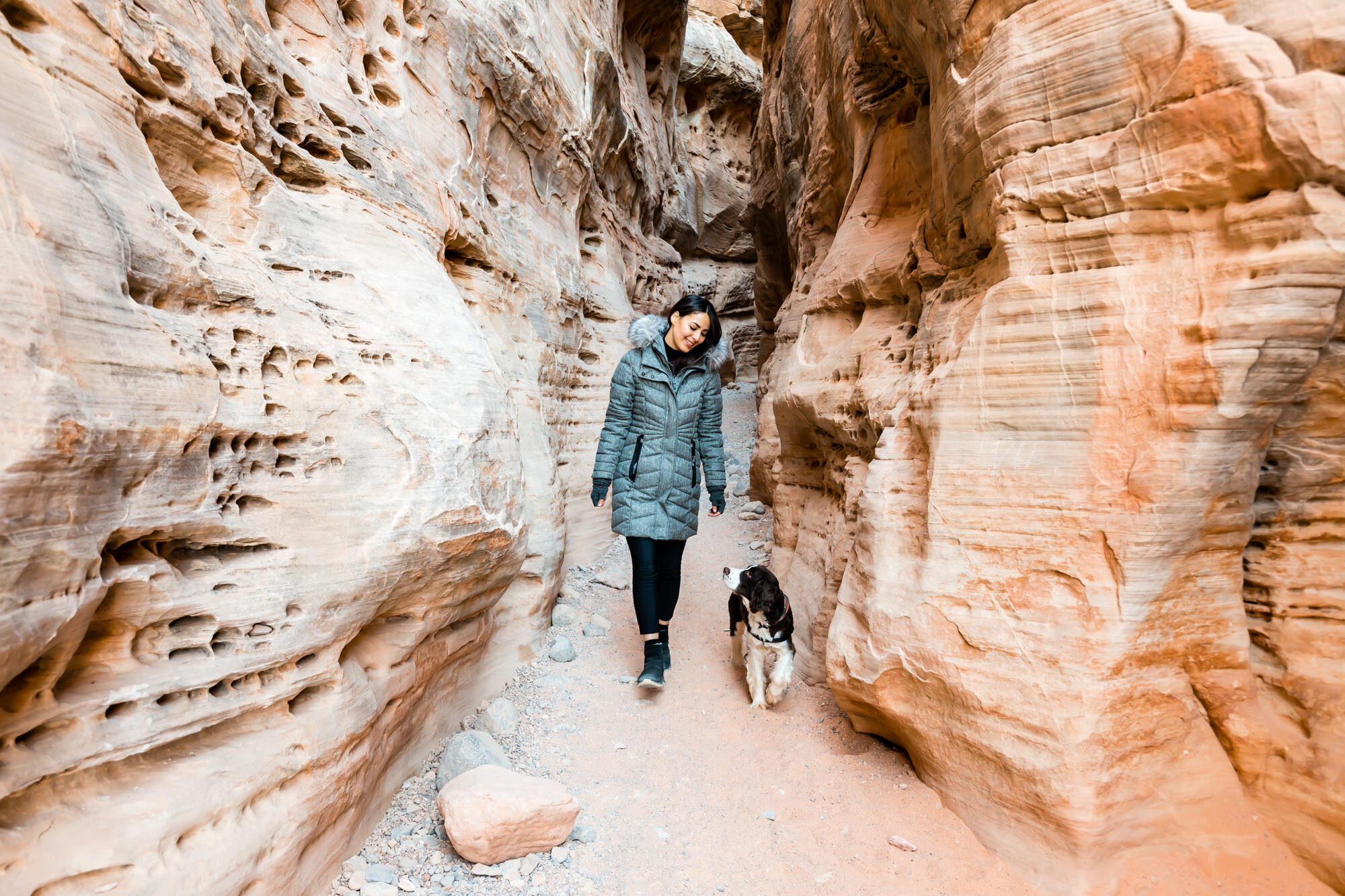 Dog-Friendly Hike at White Domes Trail in Valley of Fire State Park