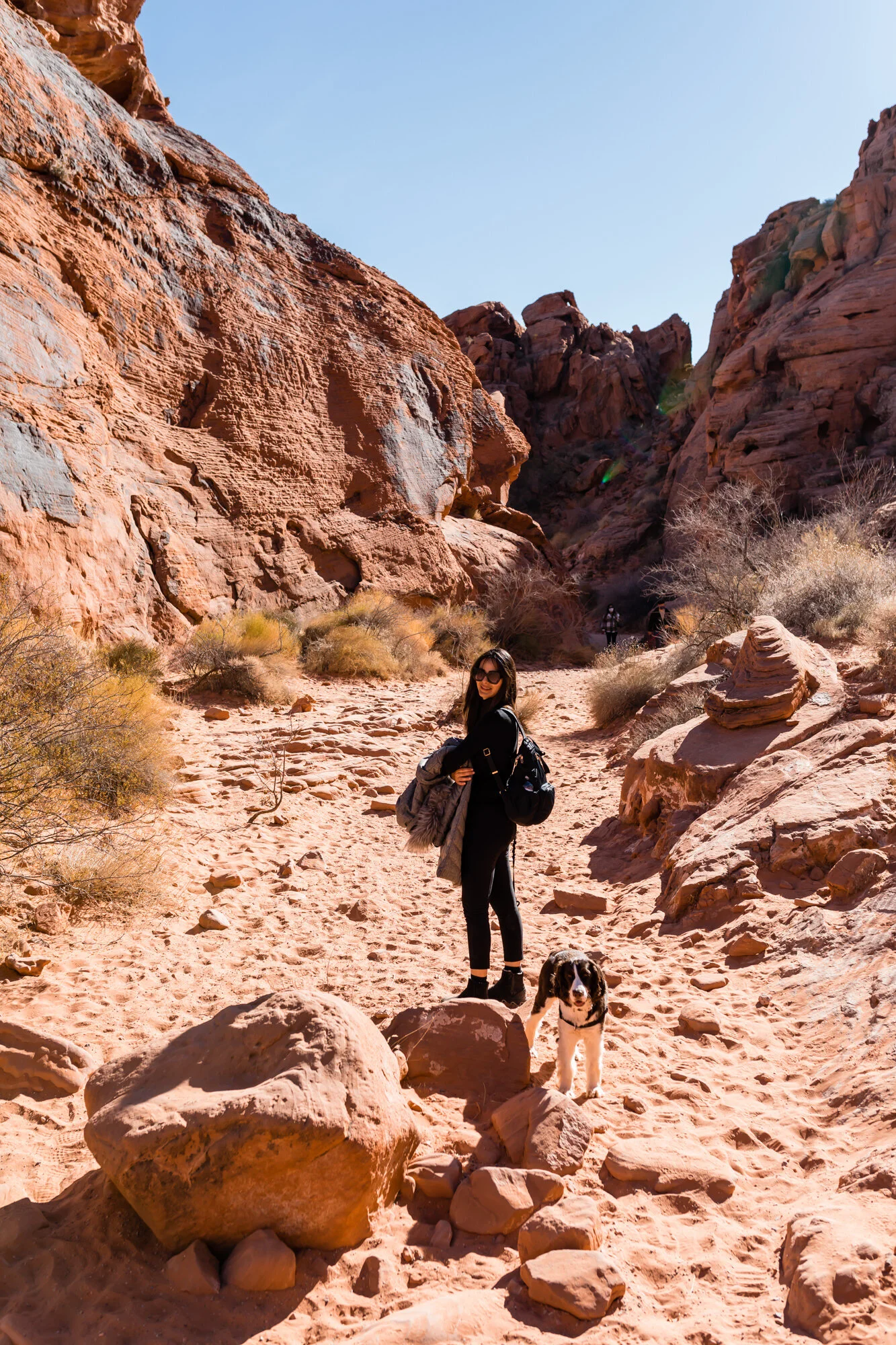 afternoon hike was pretty warm.  I should have changed coats.