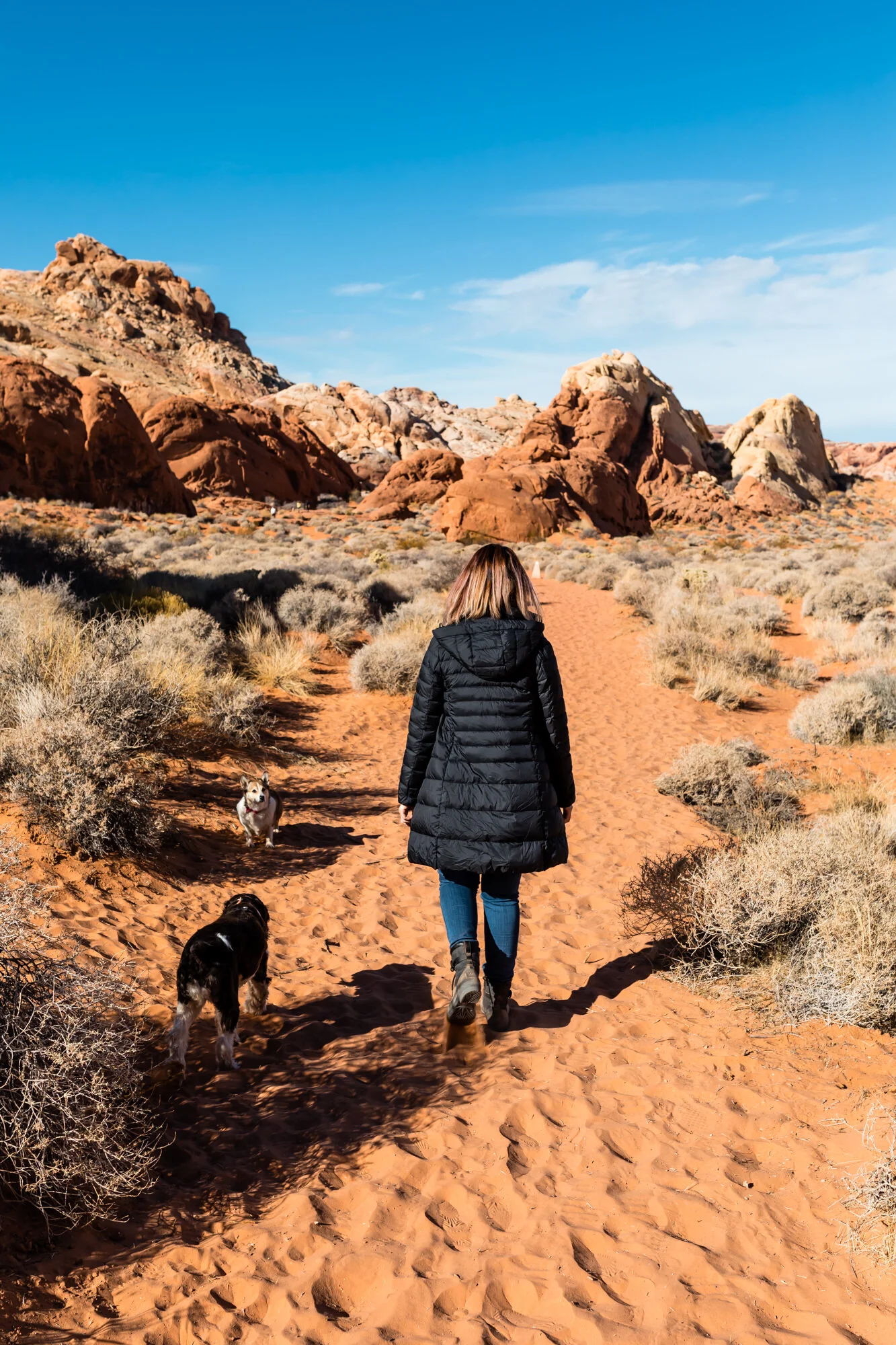 UNIQLO   ULTRA LIGHT DOWN HOODED COAT