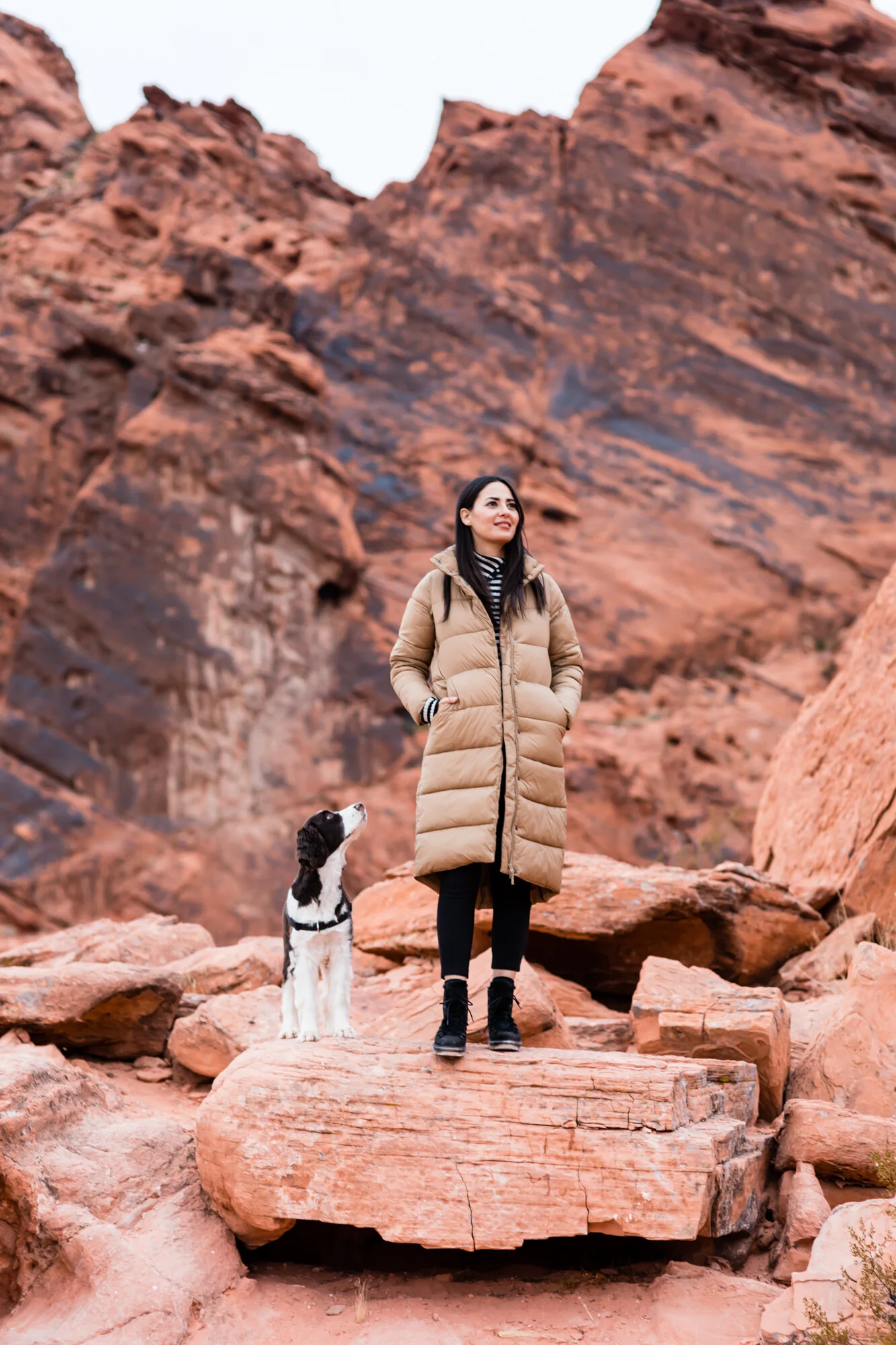 Amazon Essentials   Cocoon Puffer Coat in Camel