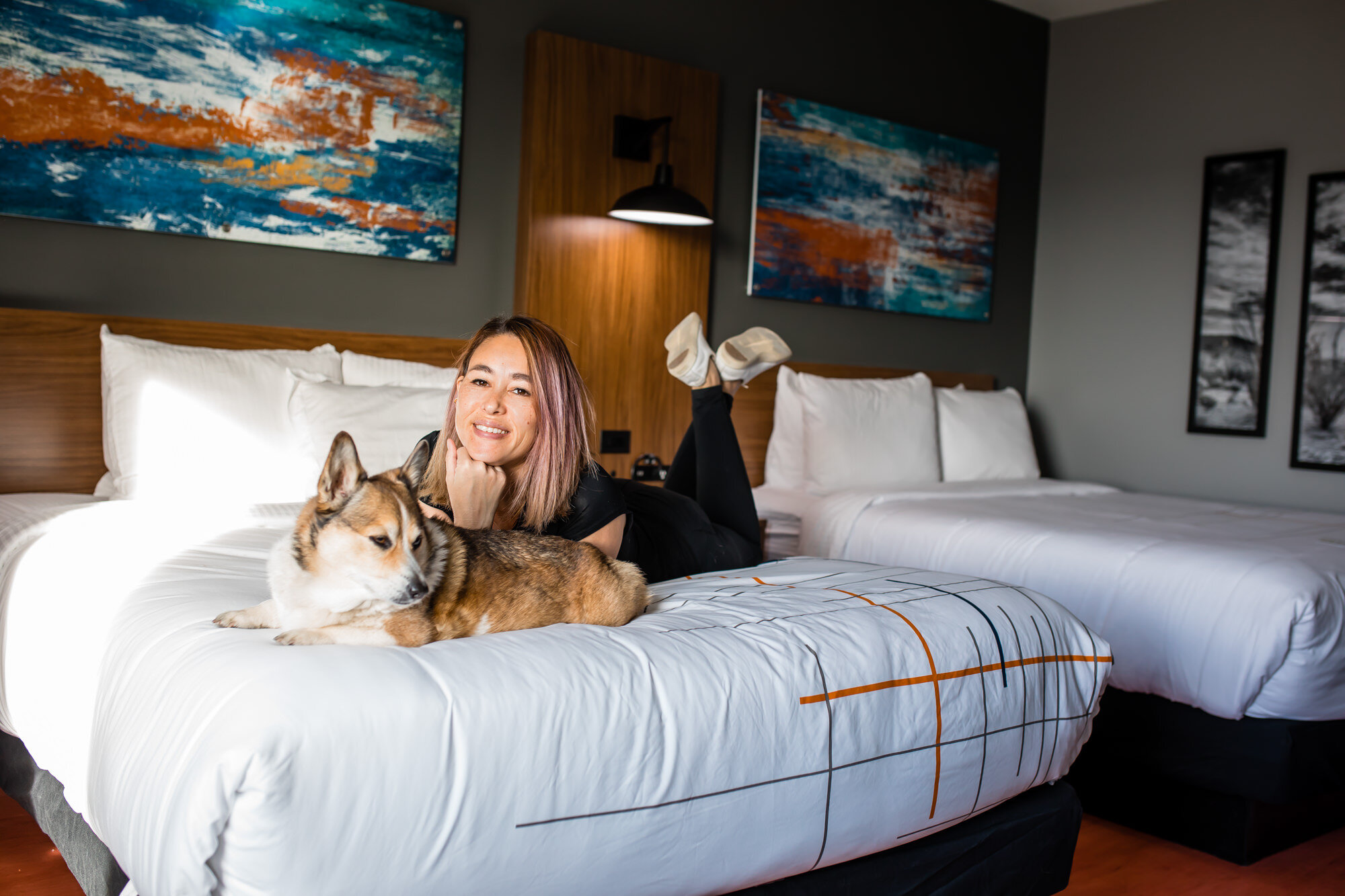 The New La Quinta Inn Fort Stockton Northeast Pet-Friendly Hotel in Texas