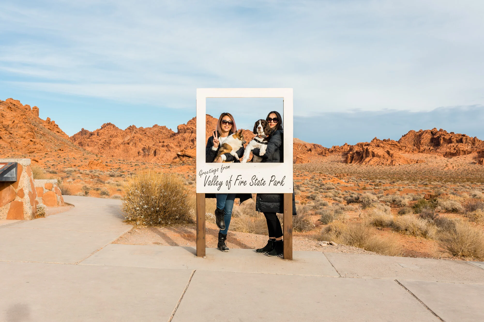 The Ultimate Winter Guide for Valley of Fire State Park with Dogs