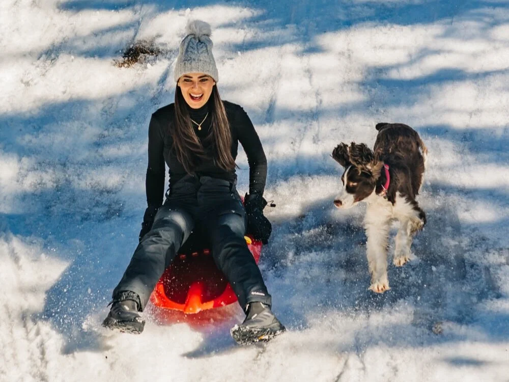 Dog-Friendly Things to Do in the Winter at Big Bear Lake
