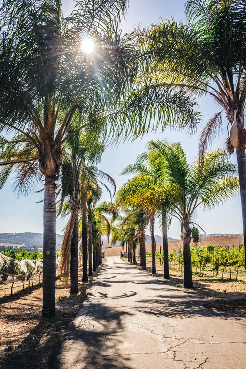 Entrance to Highland Hills WInery