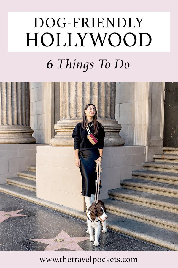 dog-friendly-hollywood-california.jpg