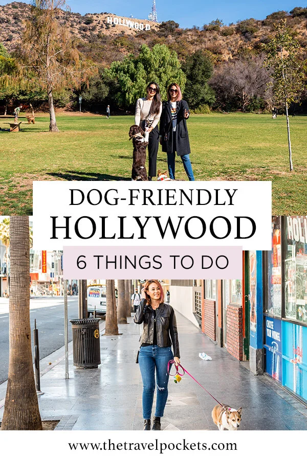Dog-Friendly Hollywood