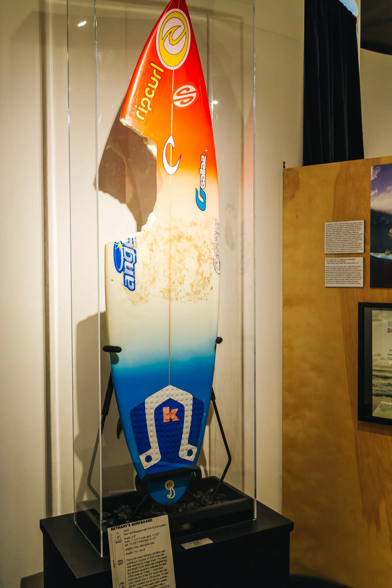 Surf board with a chunk bit off by a shark