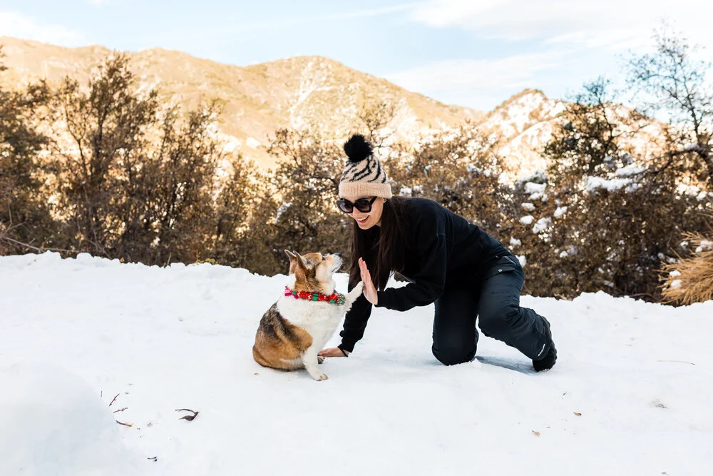 Kuma and Candy Enjoying the Snow at the Red Box Picnic Area