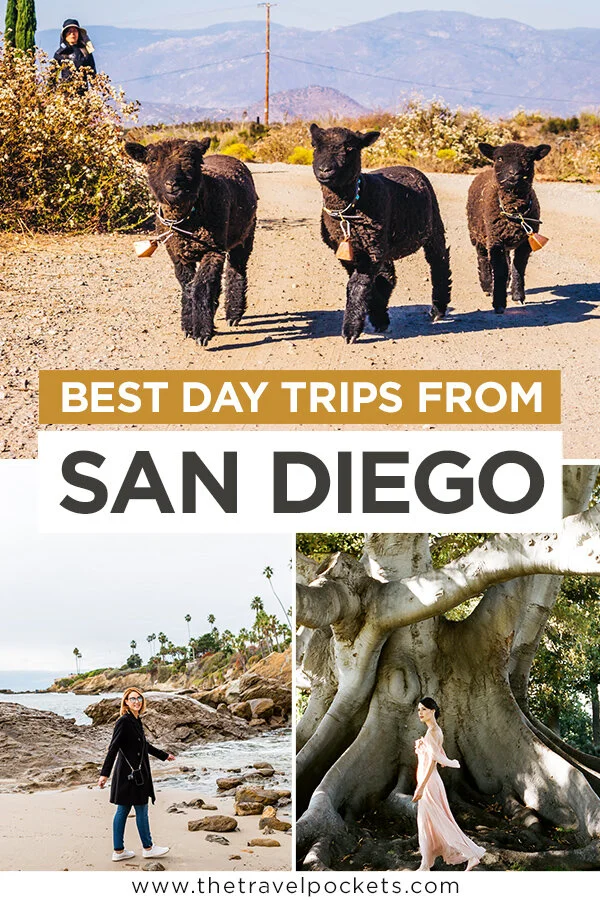 Best Day Trips from San Diego