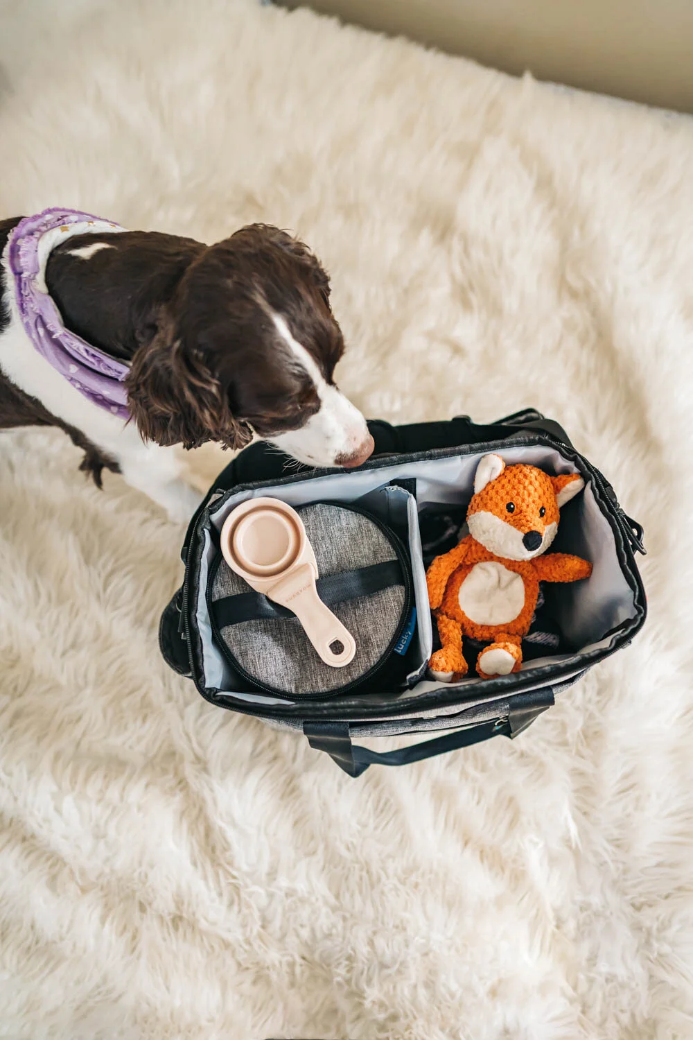 Zooey looking inside her travel bag