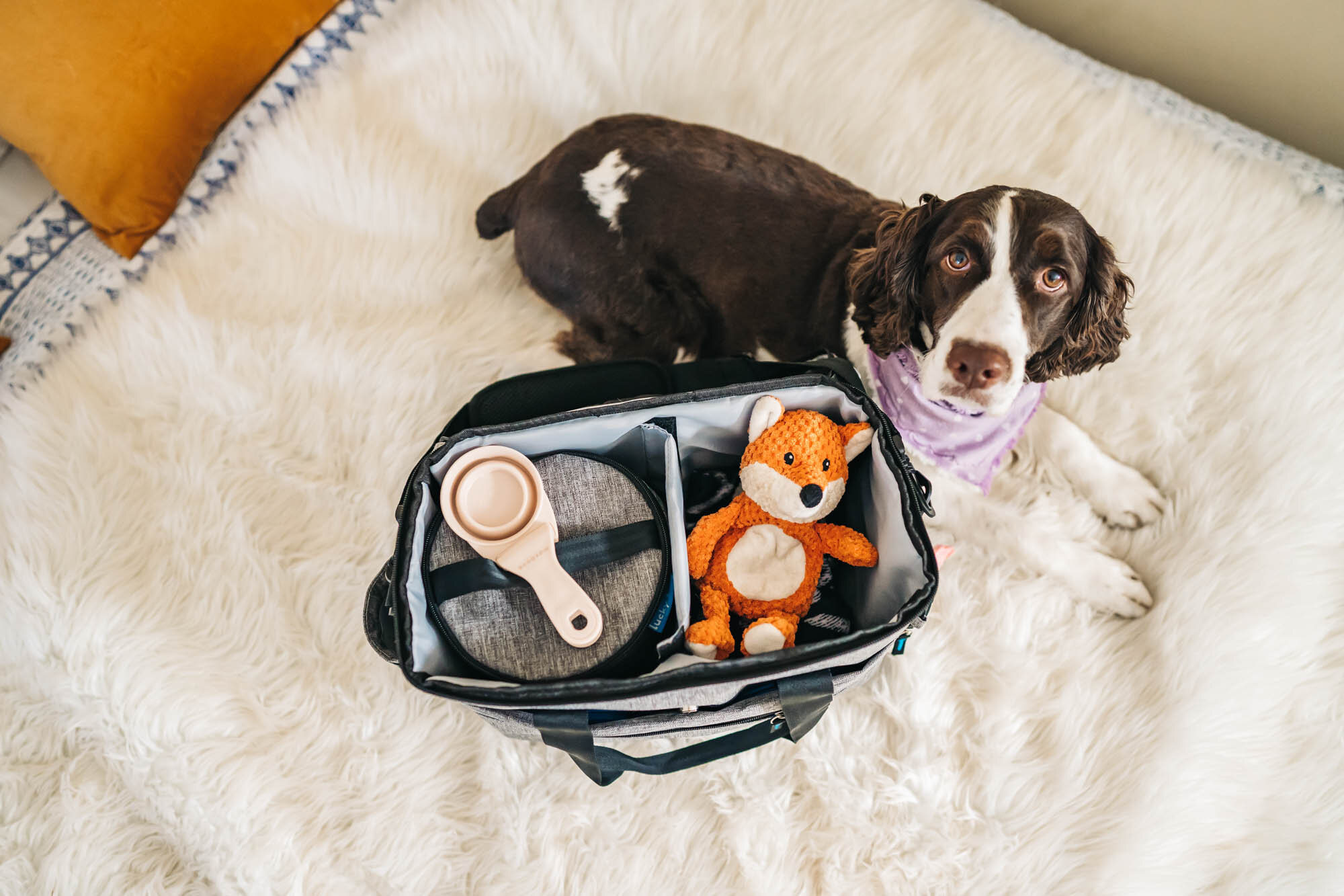Zooey is ready for her next adventure