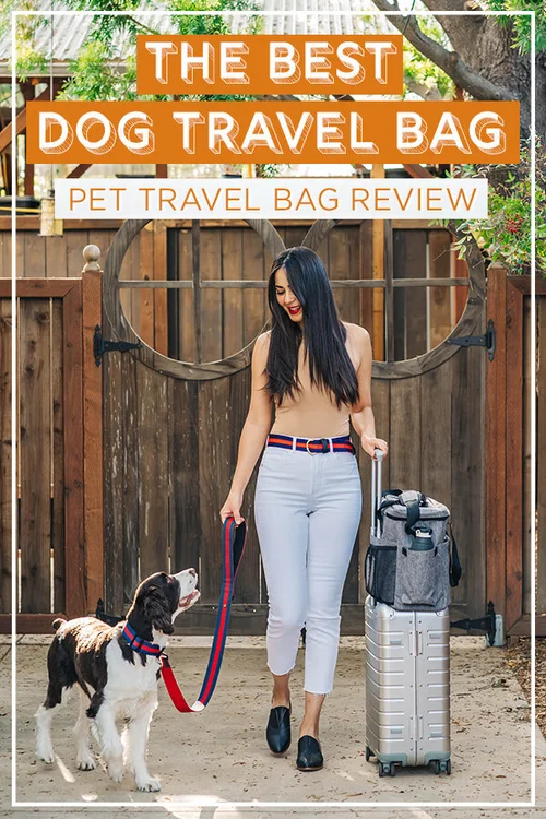 The Best Travel Organizer Bag For Your Dog You’ll Love 4’s Feature