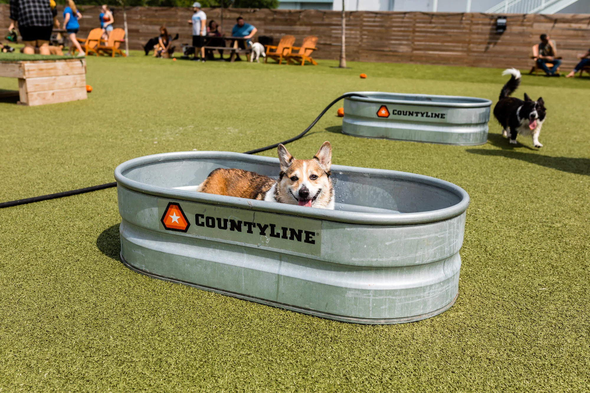 Two Shepherds Taproom - Tampa's Largest Dog Park and Bar