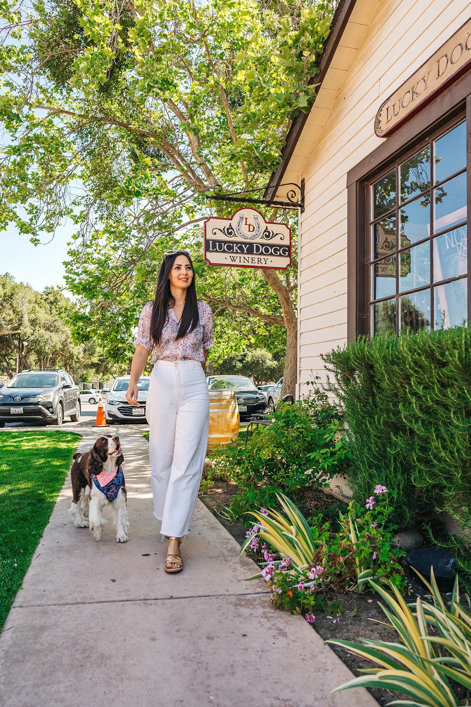 Lucky Dogg Wine Tasting Room