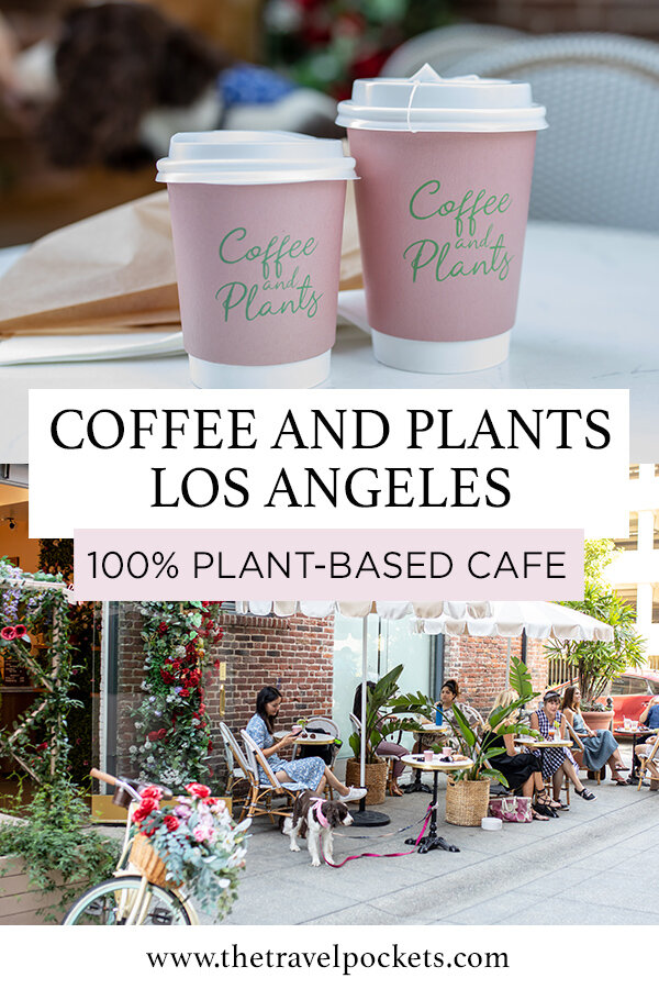 https://images.squarespace-cdn.com/content/v1/560dbc25e4b0969564758eb5/1628556243733-8NCXTNBUP7X2WZGY6BQ0/coffee-and-plants-plant-based.jpg